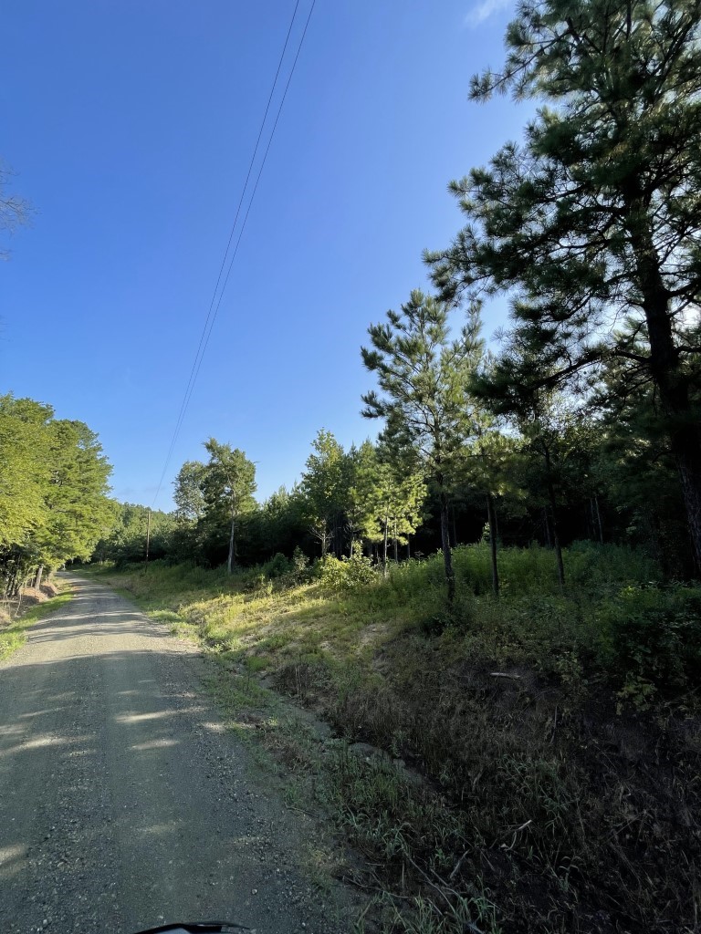Tbd (lot 45) Cr 1060 Property Photo 12