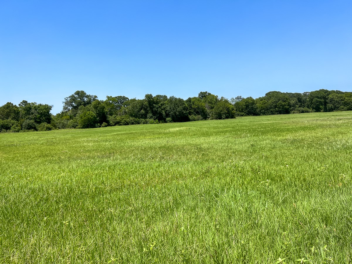 05 County Road 3625 Property Photo 1