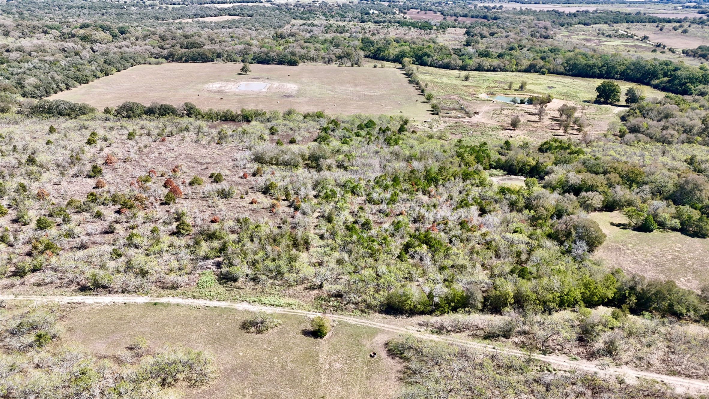 Tract 4 Maynard Hallmark Road Property Photo 2