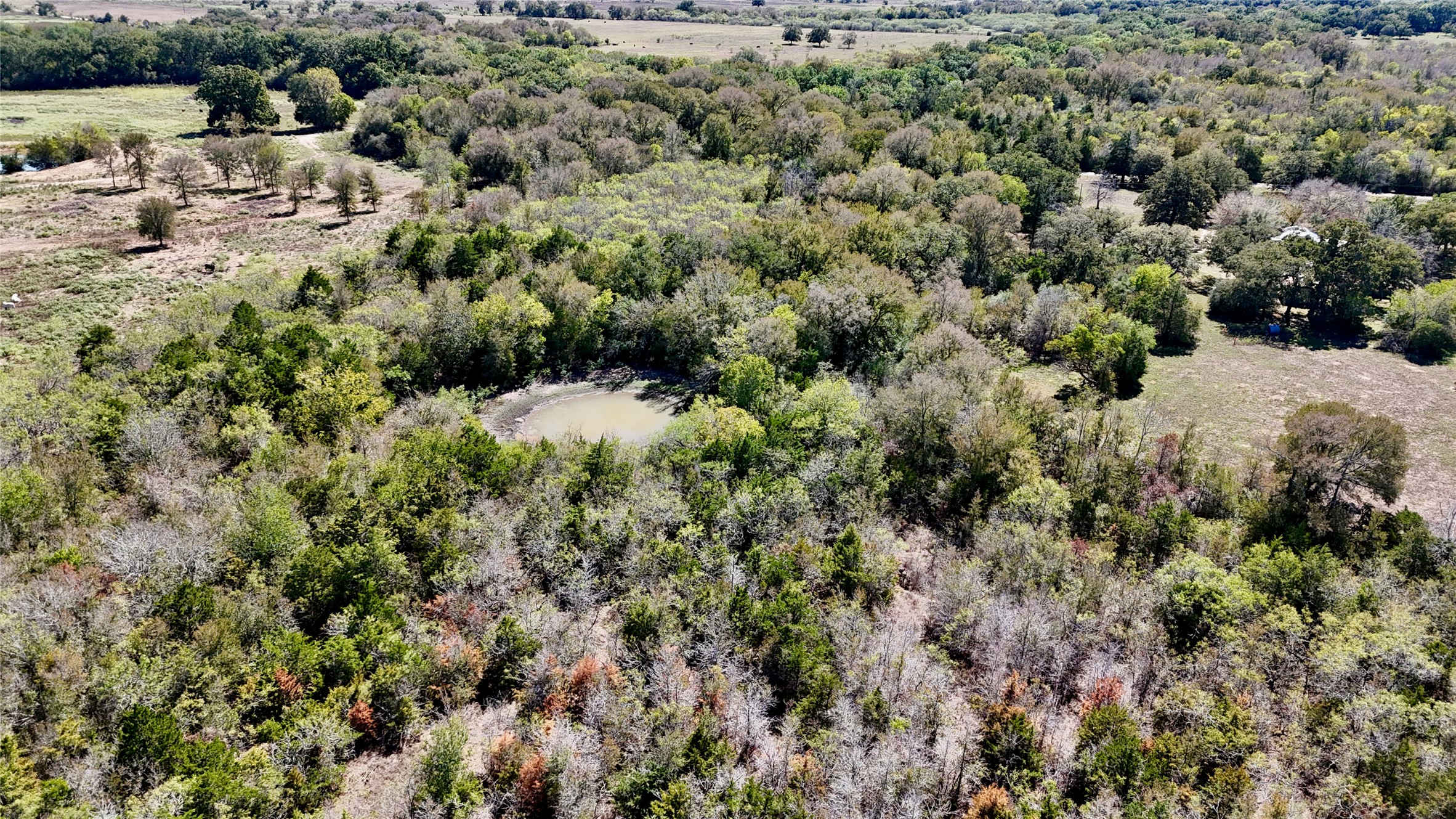 Tract 4 Maynard Hallmark Road Property Photo 3