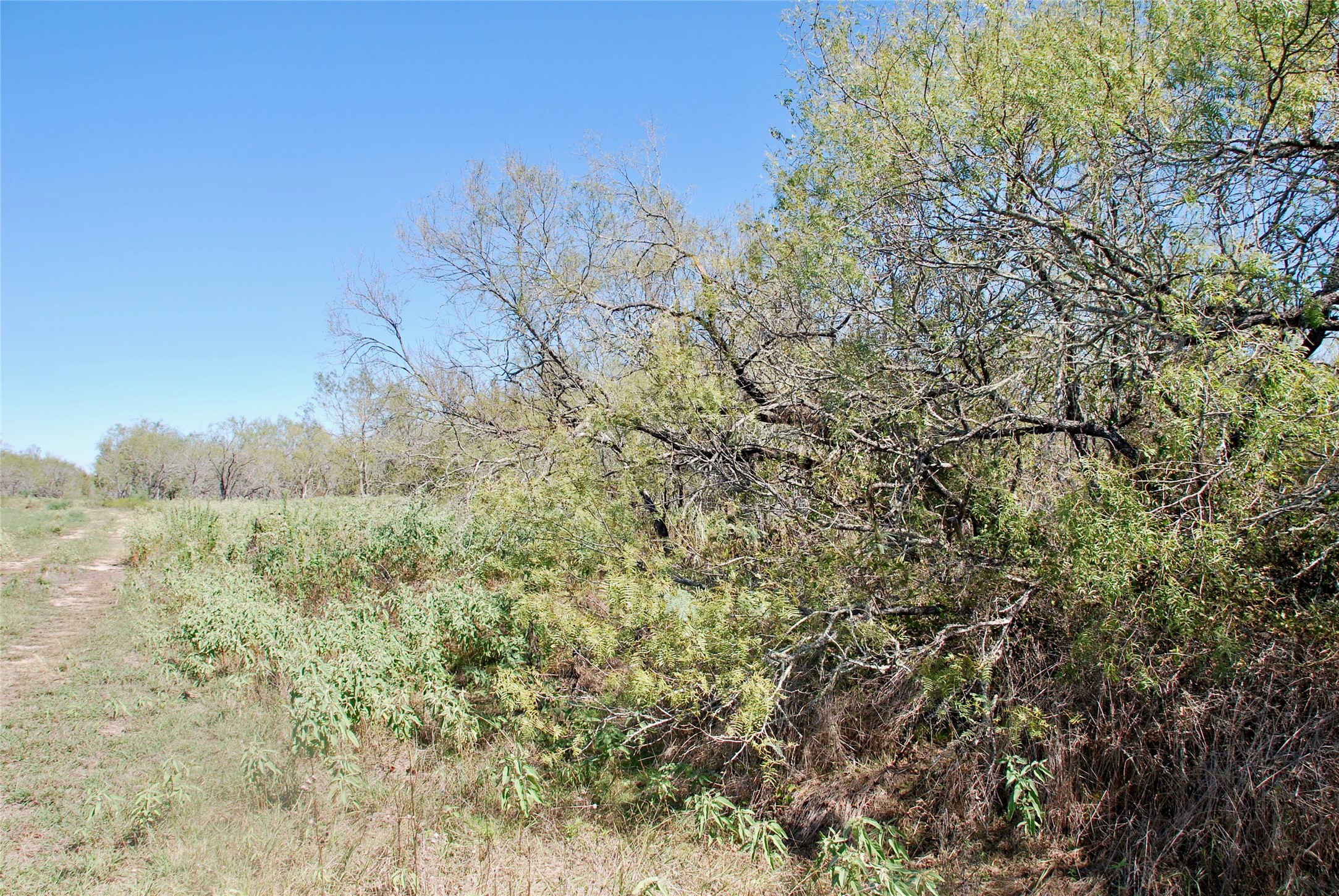 Tract 4 Maynard Hallmark Road Property Photo 5