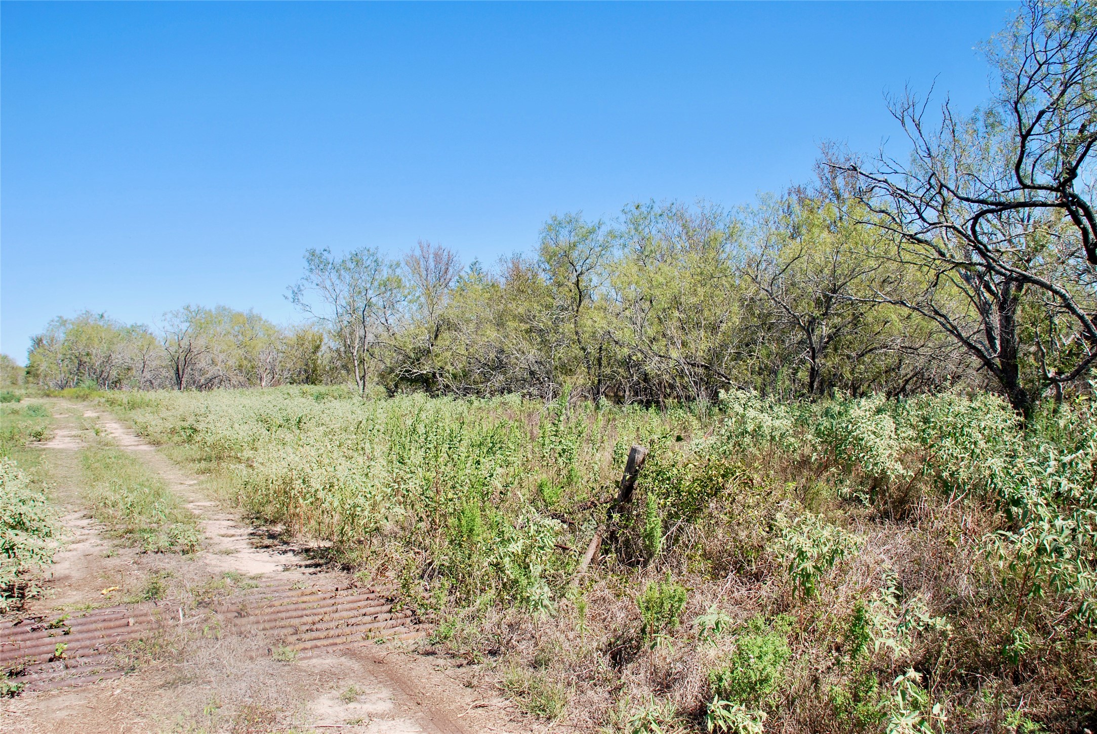 Tract 4 Maynard Hallmark Road Property Photo 6