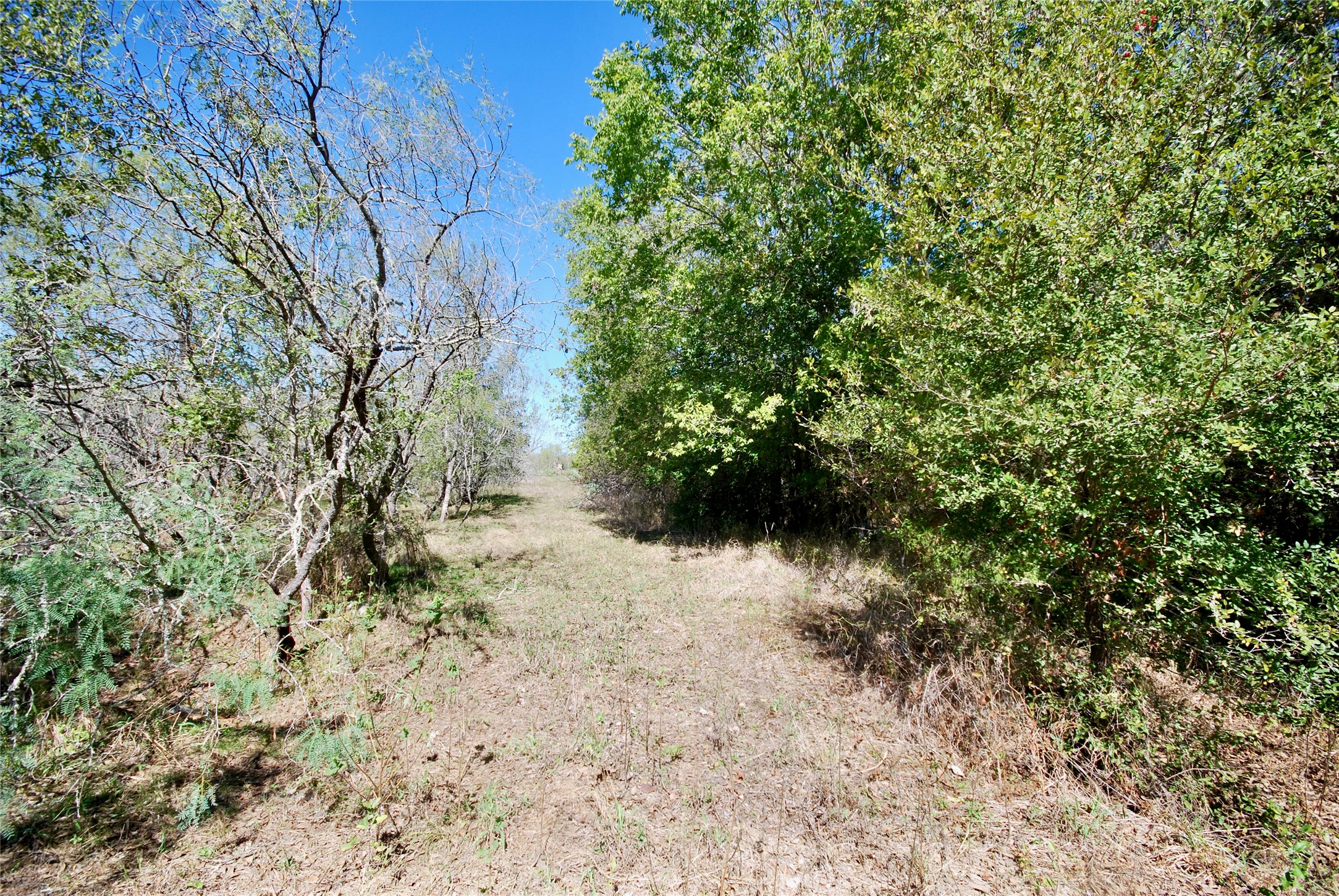 Tract 4 Maynard Hallmark Road Property Photo 7
