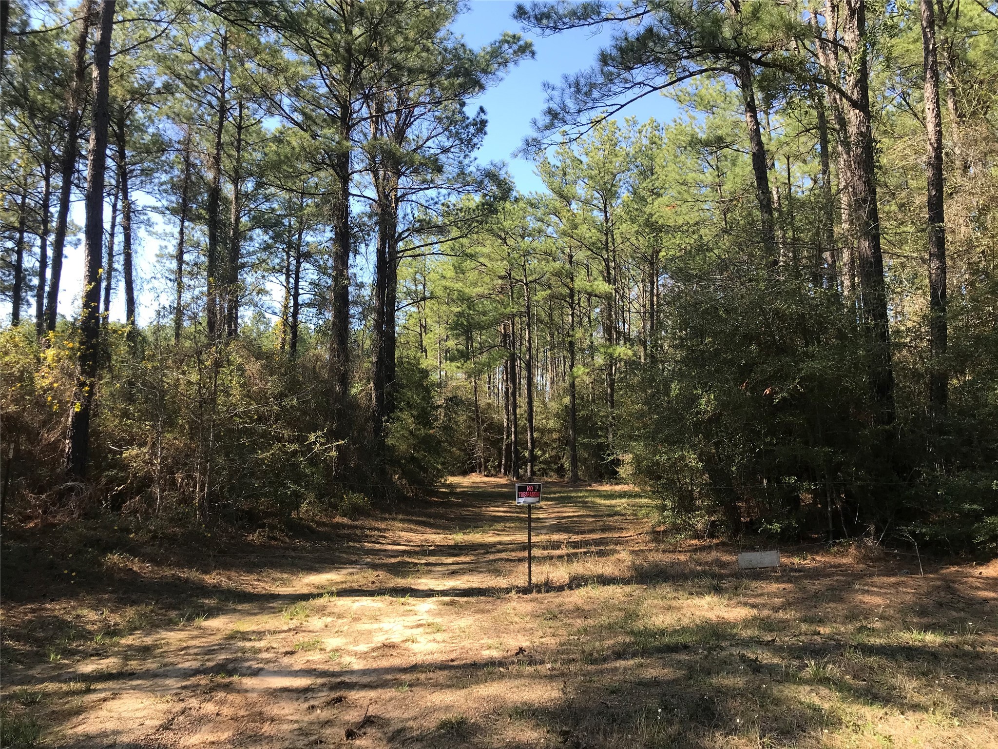 802 Cr 483 Road S Property Photo 3