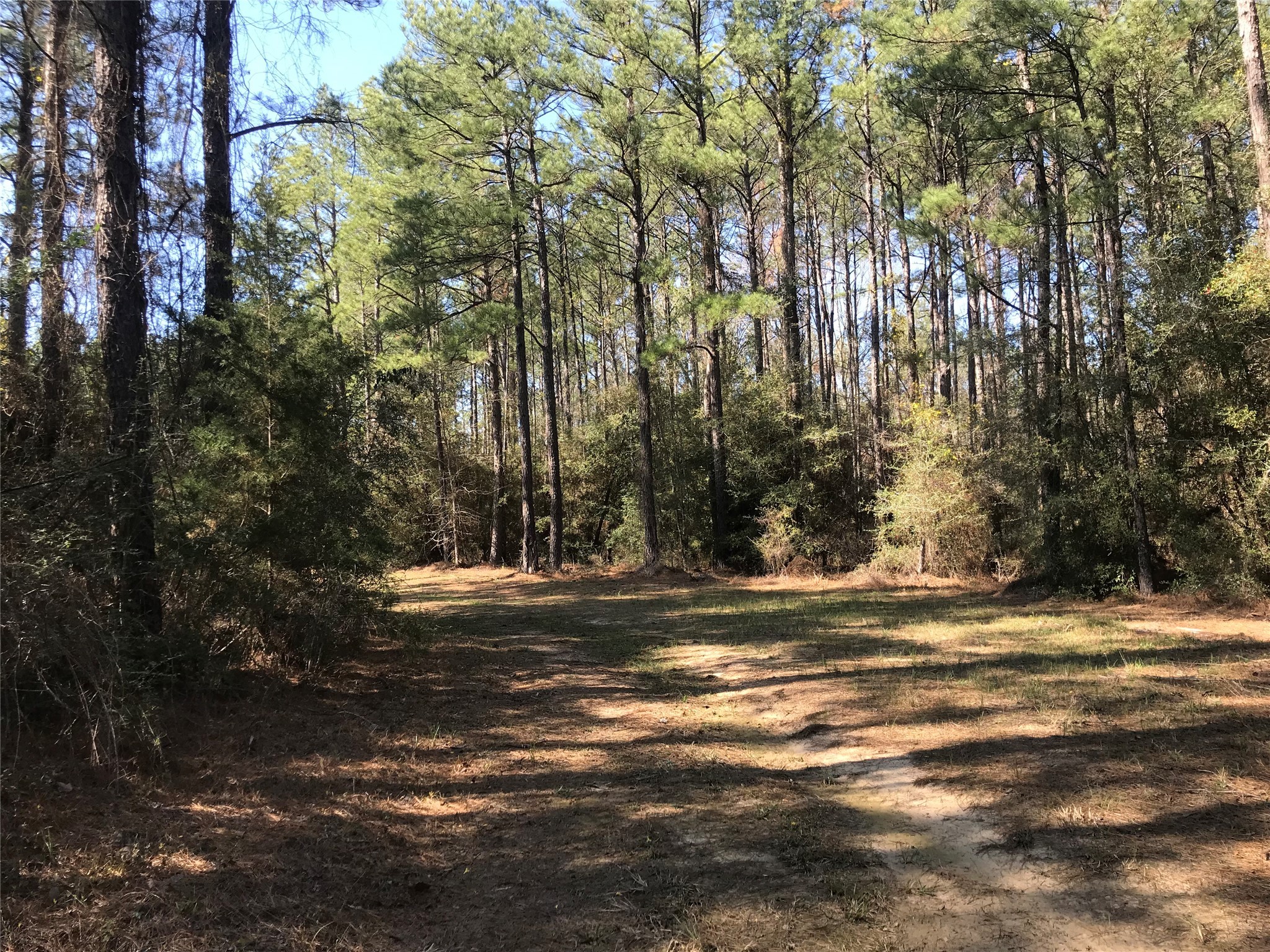 802 Cr 483 Road S Property Photo 4