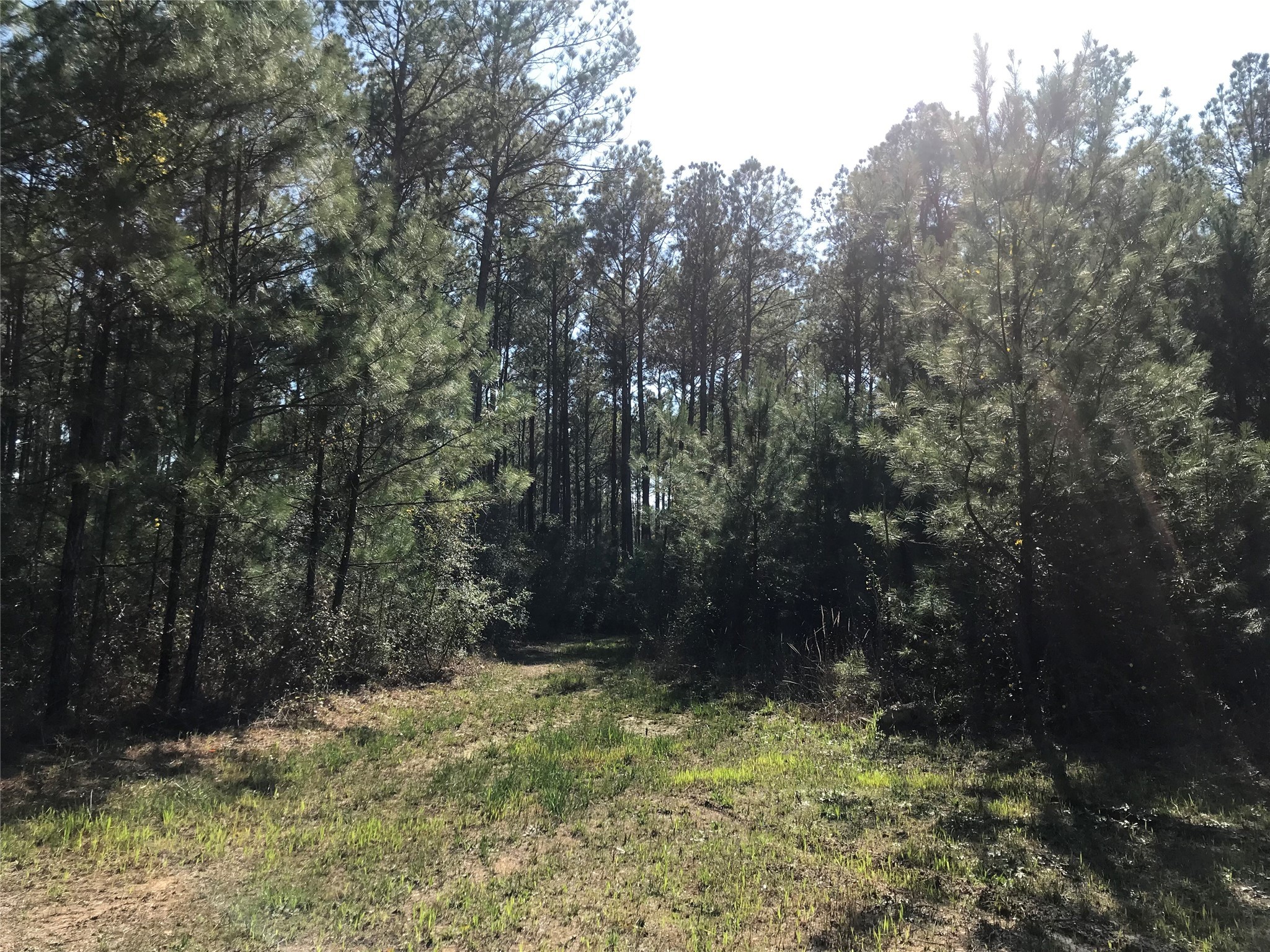 802 Cr 483 Road S Property Photo 5