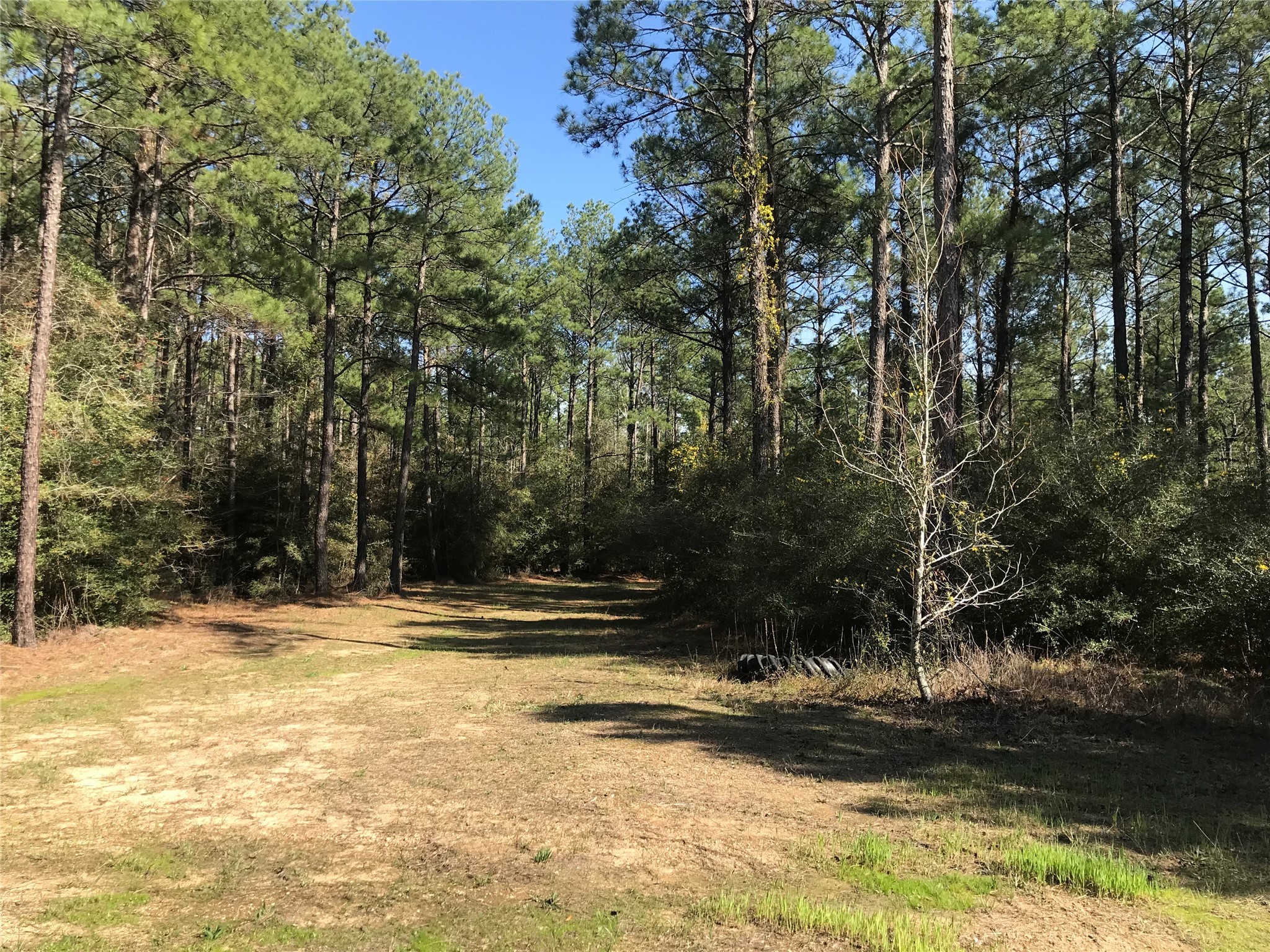 802 Cr 483 Road S Property Photo 6