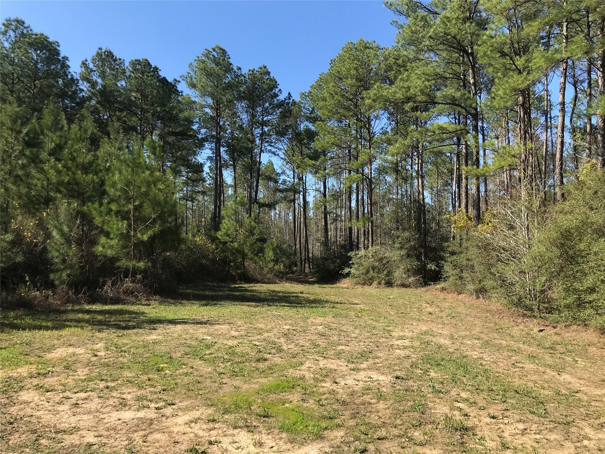 802 Cr 483 Road S Property Photo 7