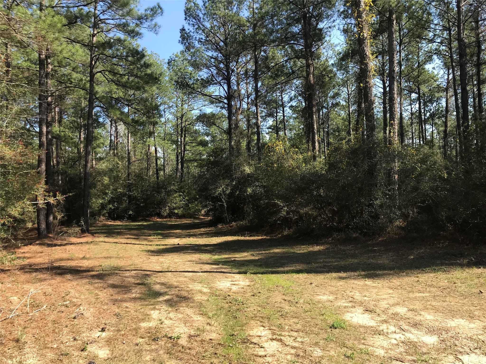 802 Cr 483 Road S Property Photo 9