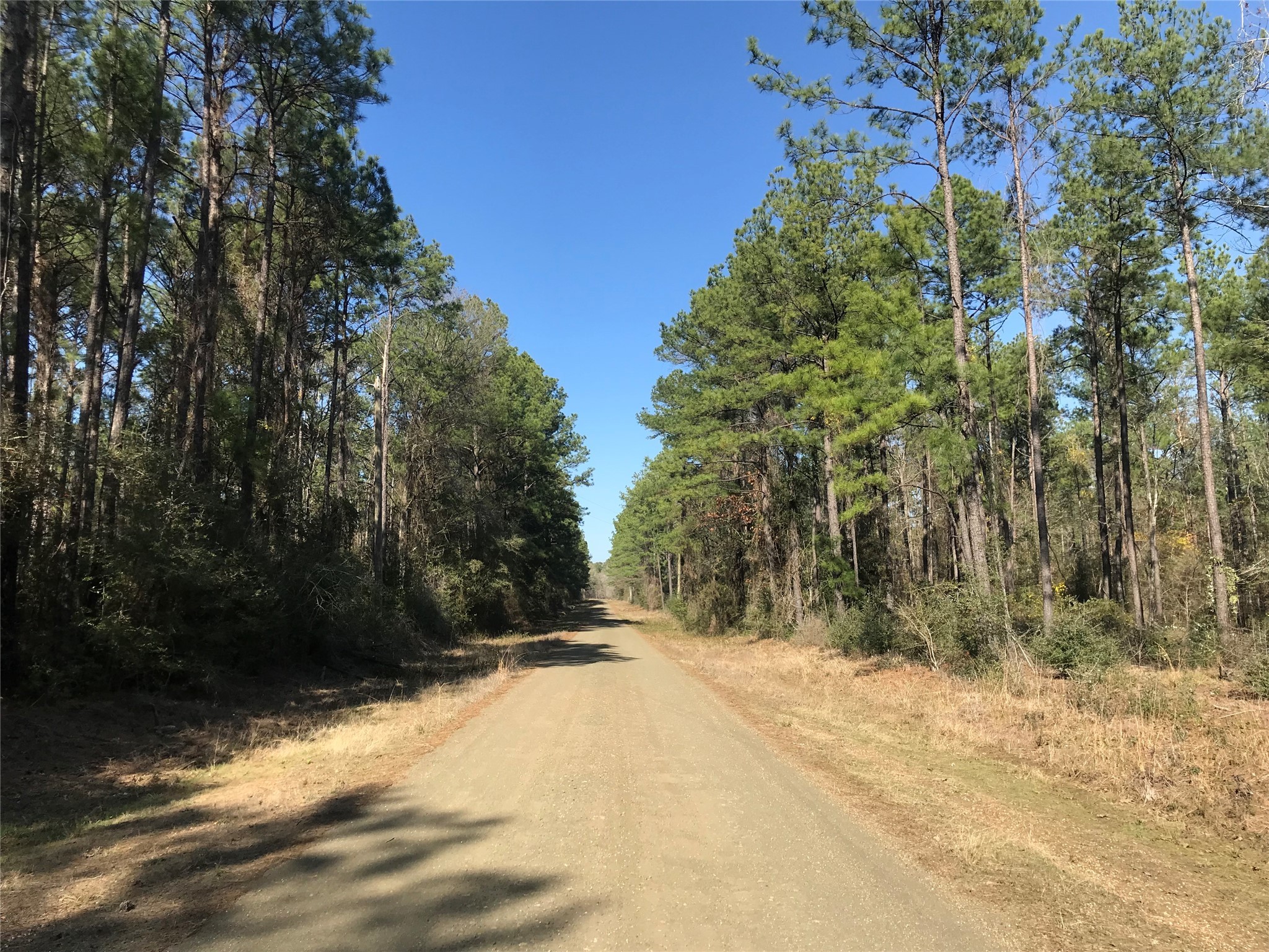 802 Cr 483 Road S Property Photo 10