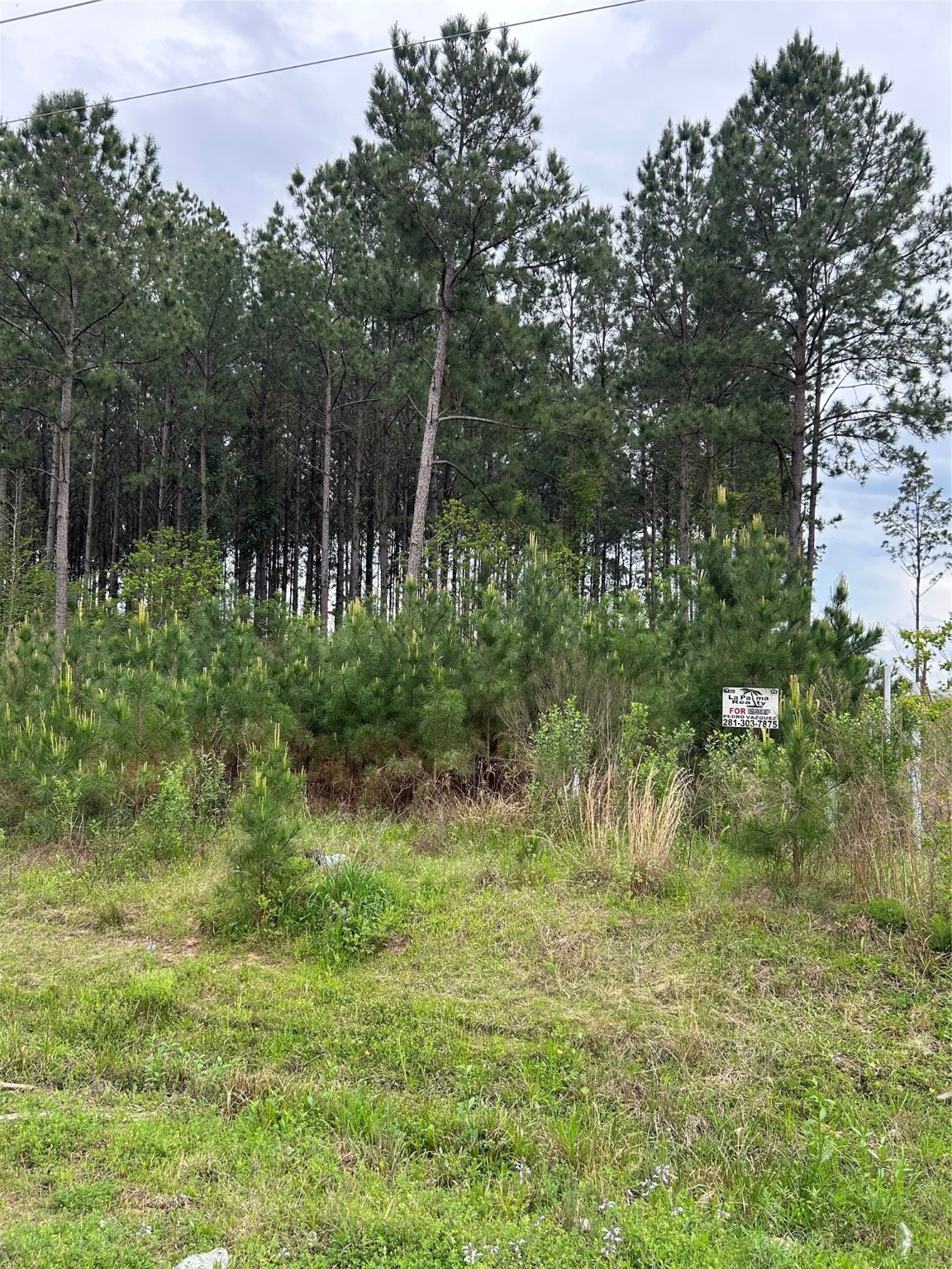 2978 County Road 3545 Property Photo 8