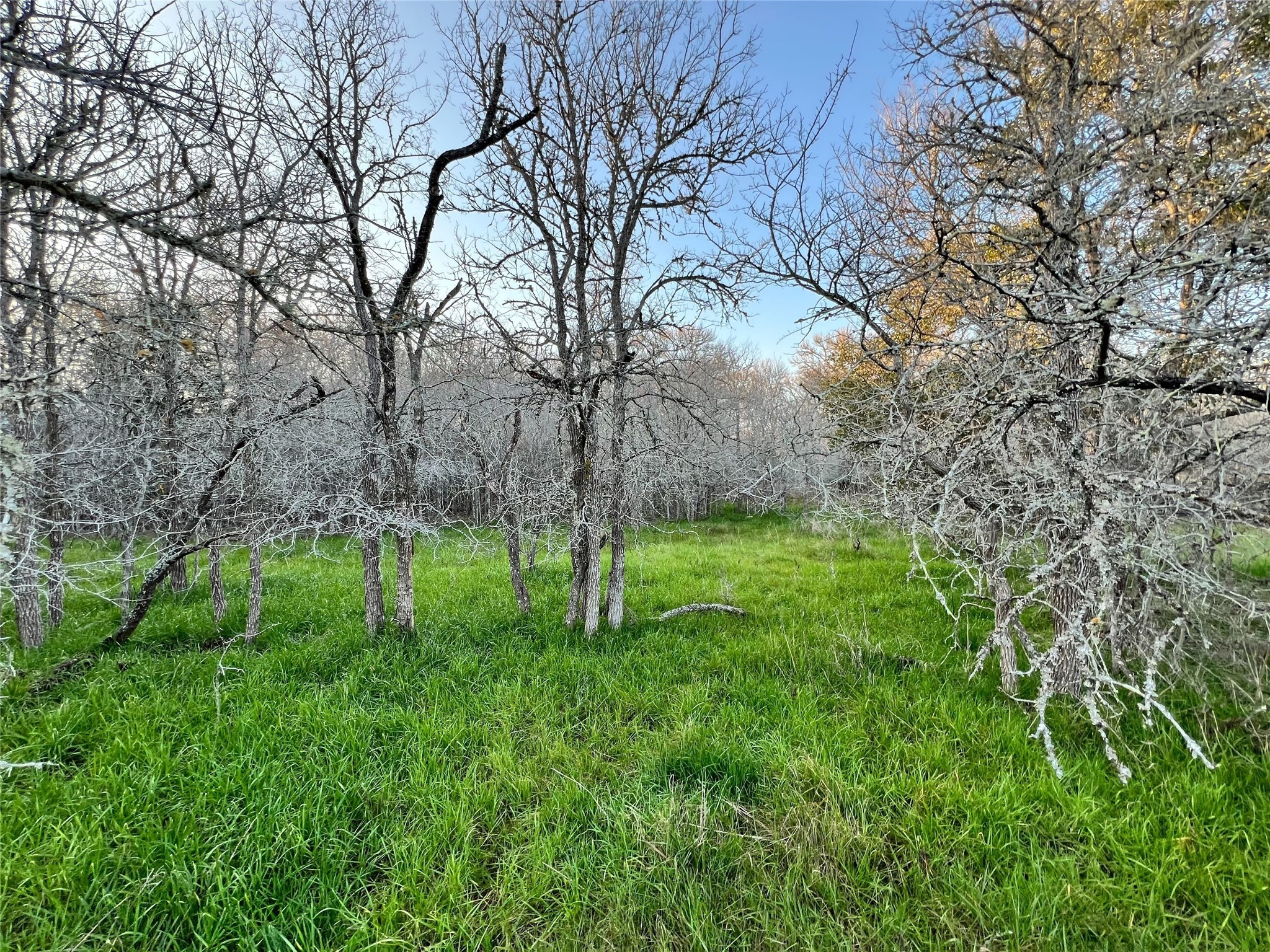 805 Wilderness Property Photo 1