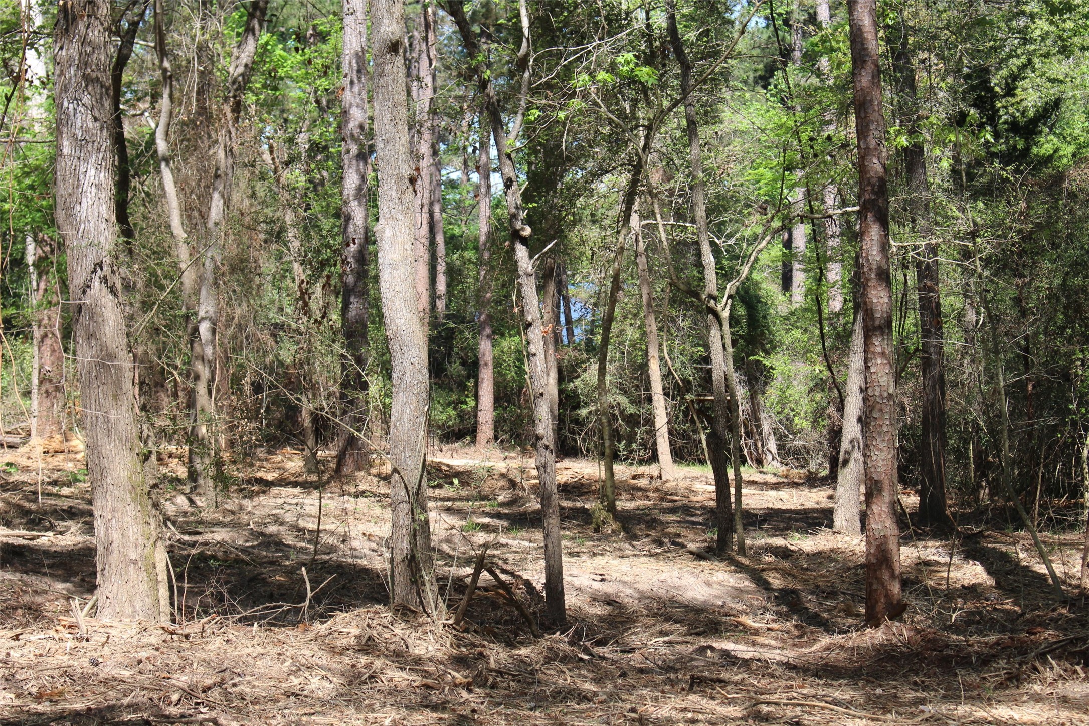 145 Crossed Arrows Property Photo 1