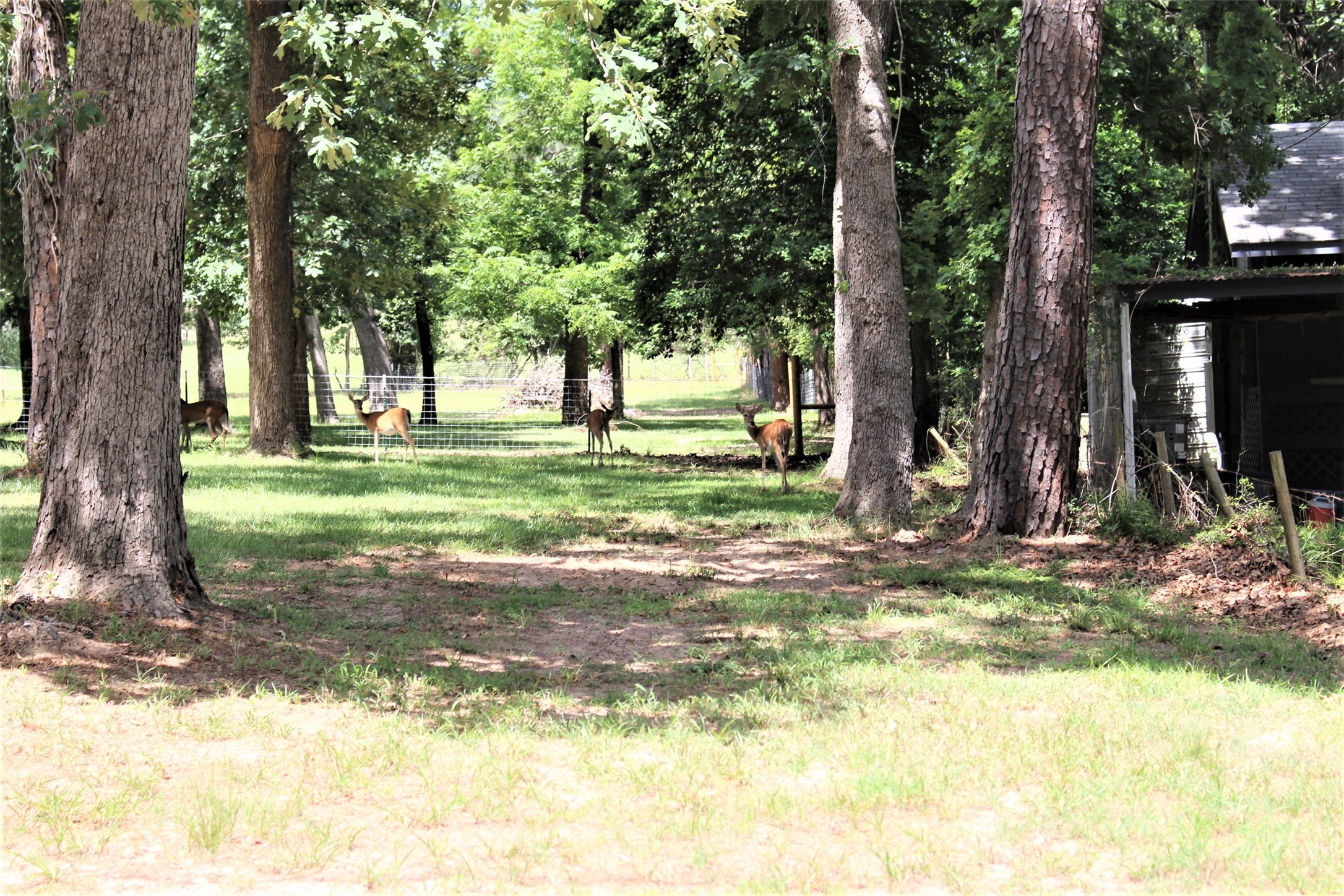 145 Crossed Arrows Property Photo 5
