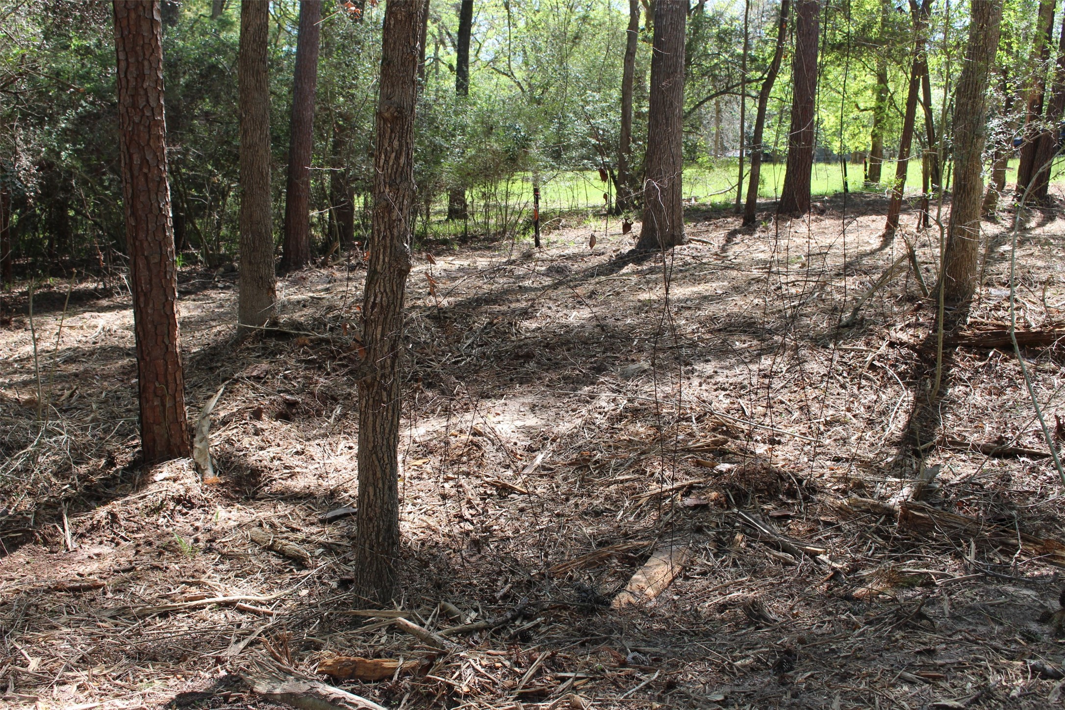 145 Crossed Arrows Property Photo 6