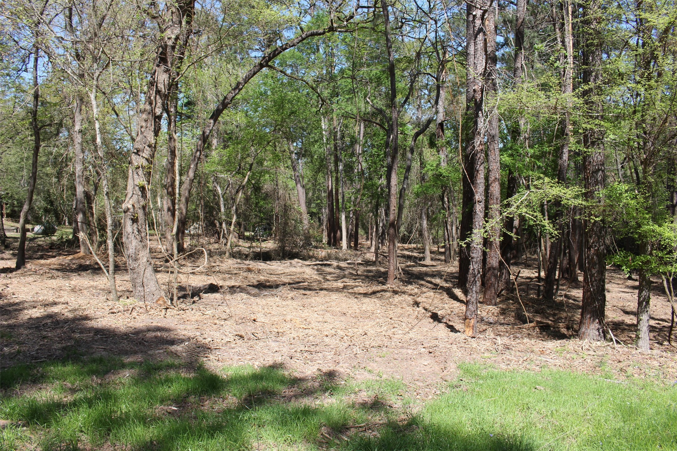 145 Crossed Arrows Property Photo 7