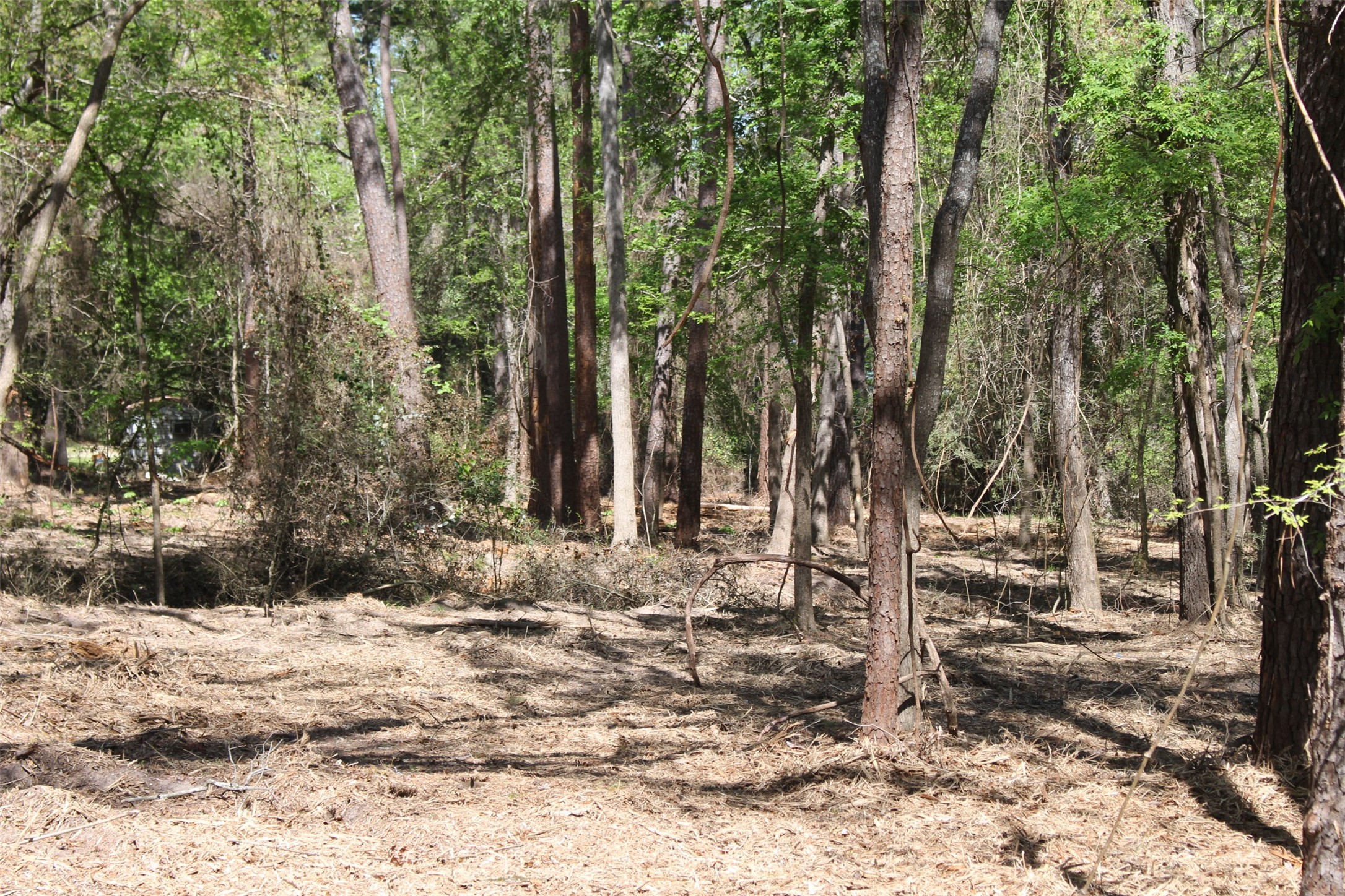 145 Crossed Arrows Property Photo 8