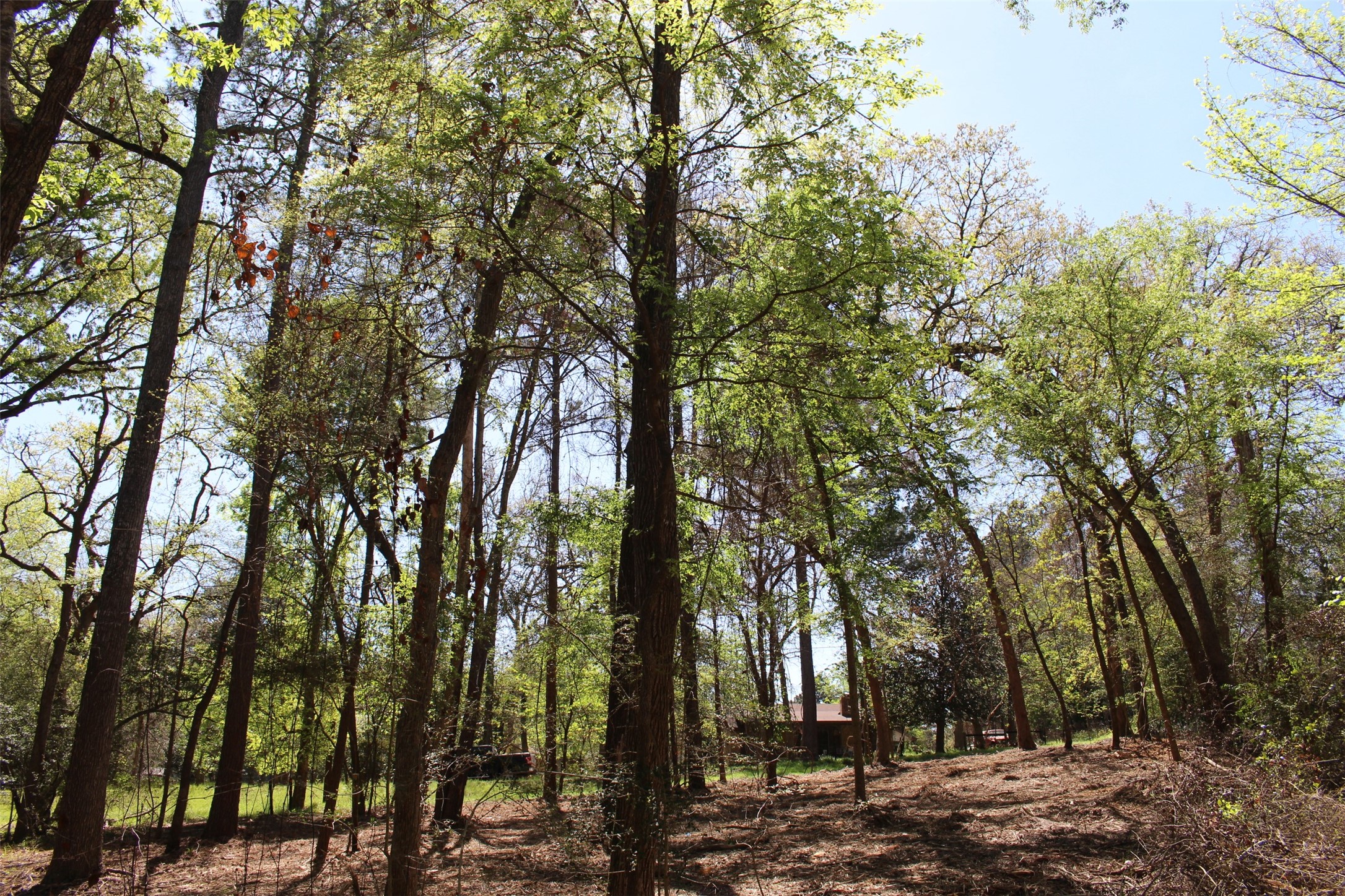145 Crossed Arrows Property Photo 9