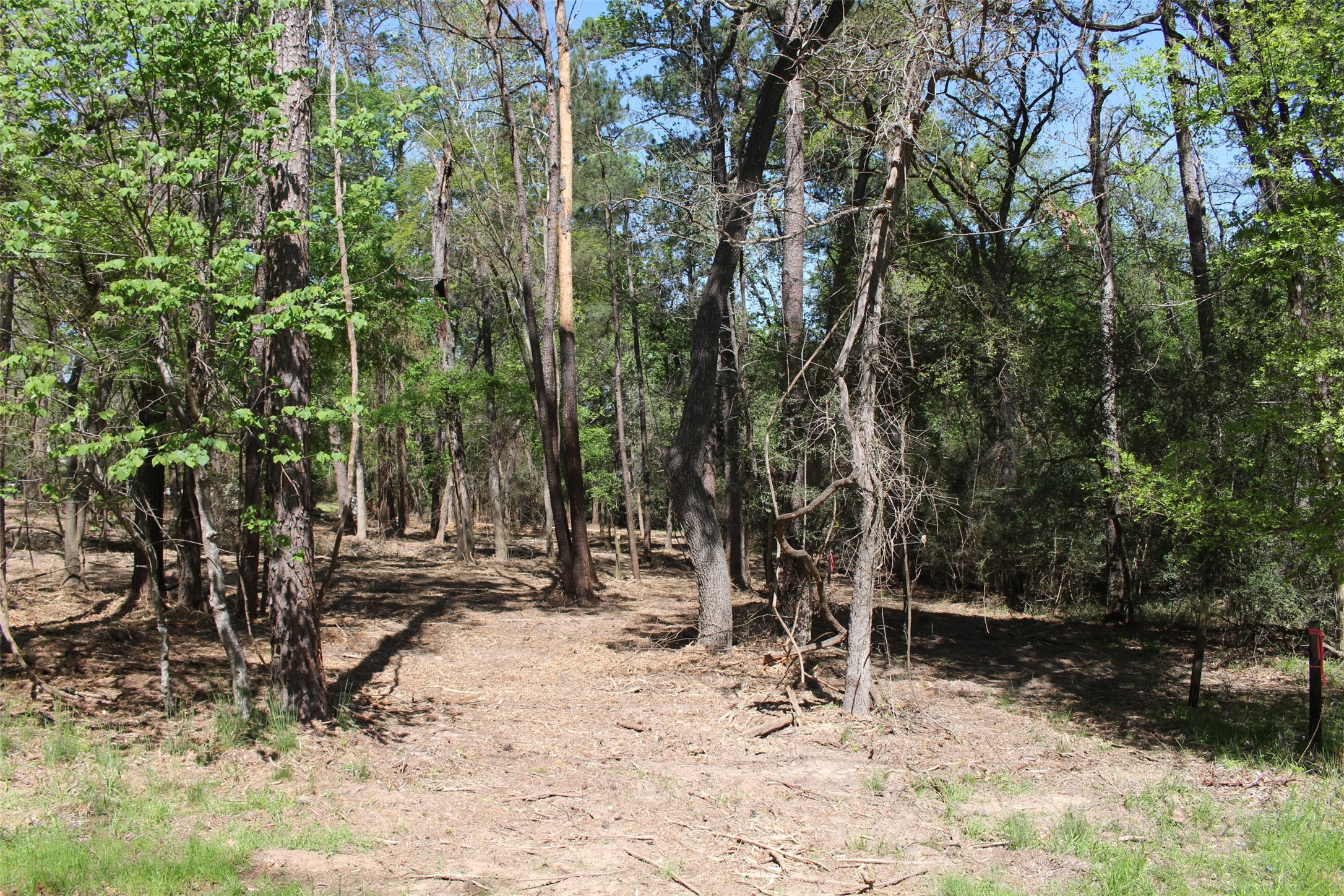 145 Crossed Arrows Property Photo 12