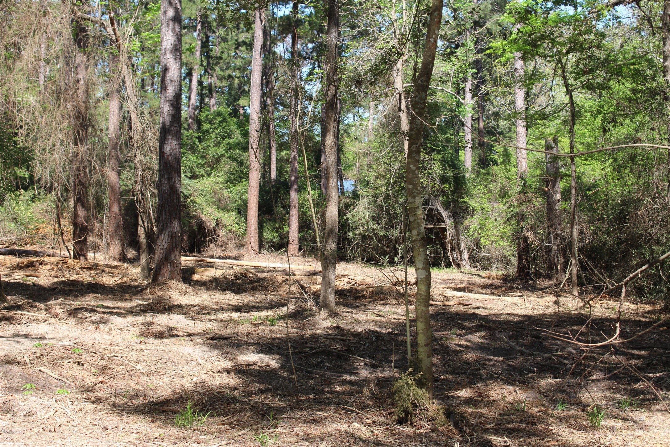 145 Crossed Arrows Property Photo 13