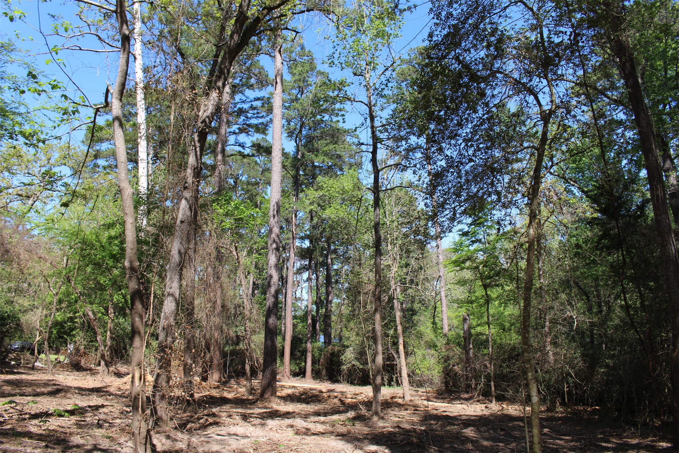 145 Crossed Arrows Property Photo 14