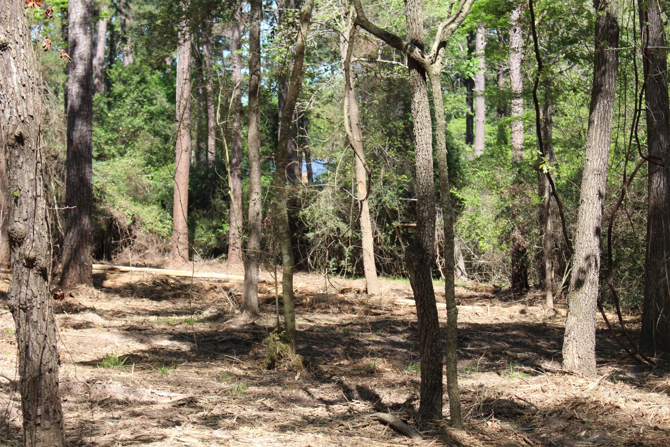 145 Crossed Arrows Property Photo 15