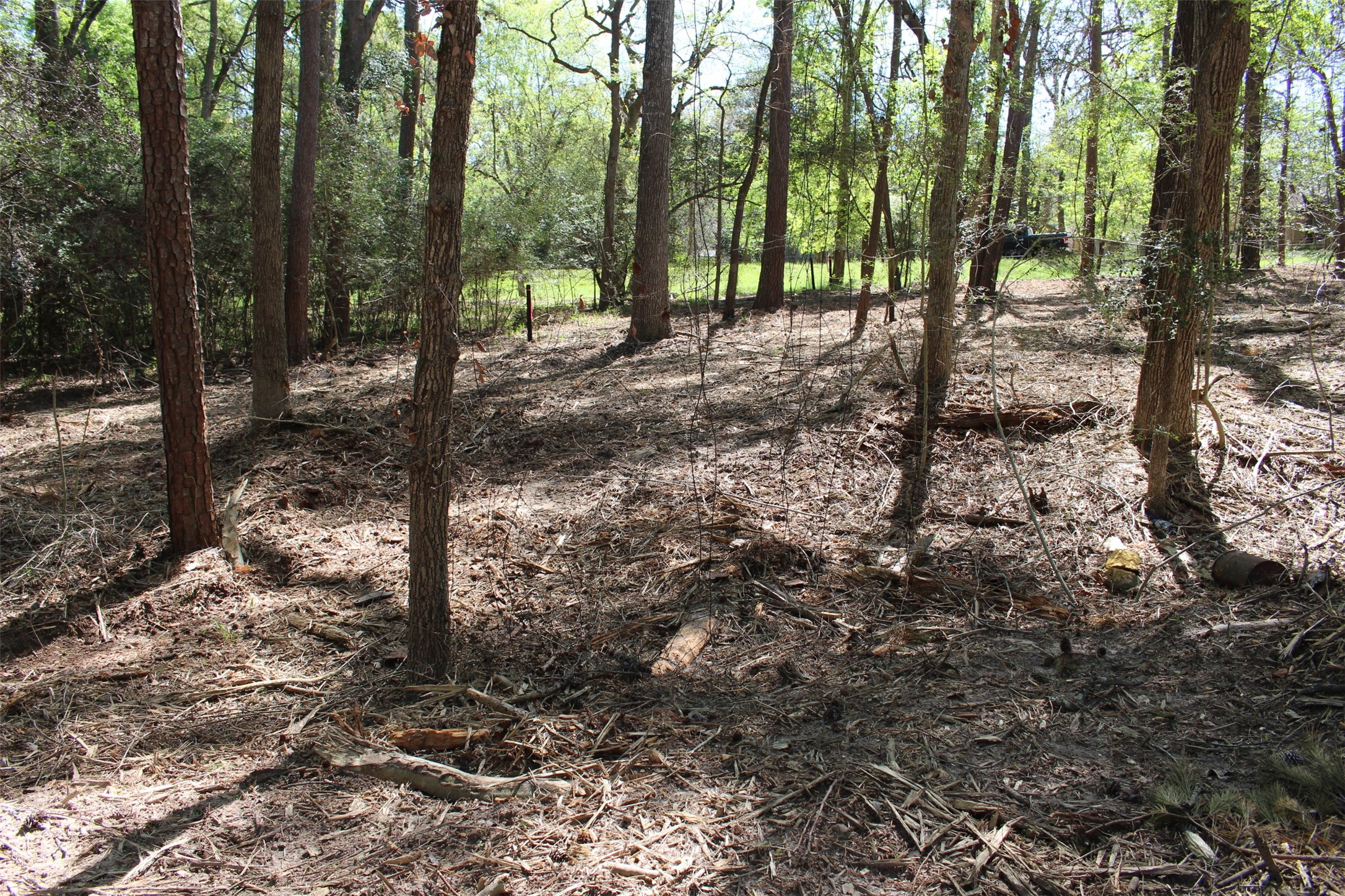 145 Crossed Arrows Property Photo 16