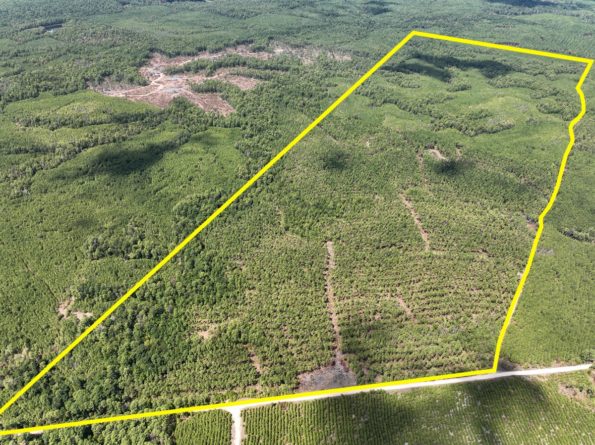 000 Off Lost Indian Camp Road Property Photo 1
