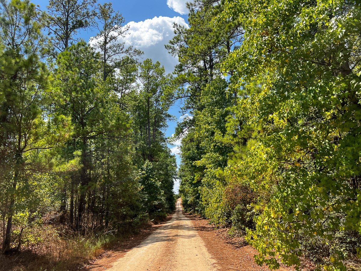 000 Off Lost Indian Camp Road Property Photo 2