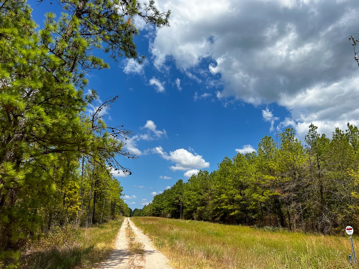 000 Off Lost Indian Camp Road Property Photo 6