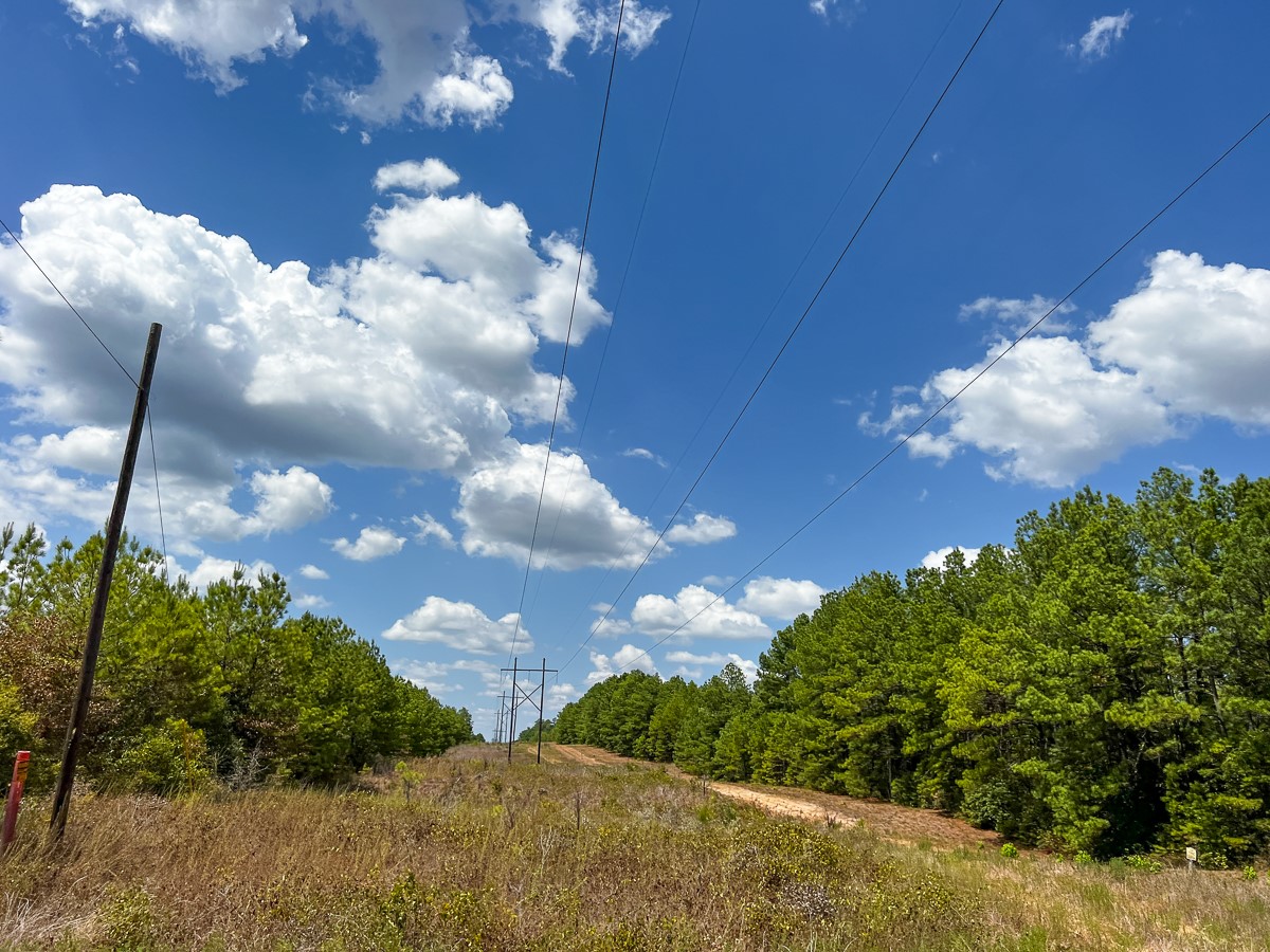 000 Off Lost Indian Camp Road Property Photo 8