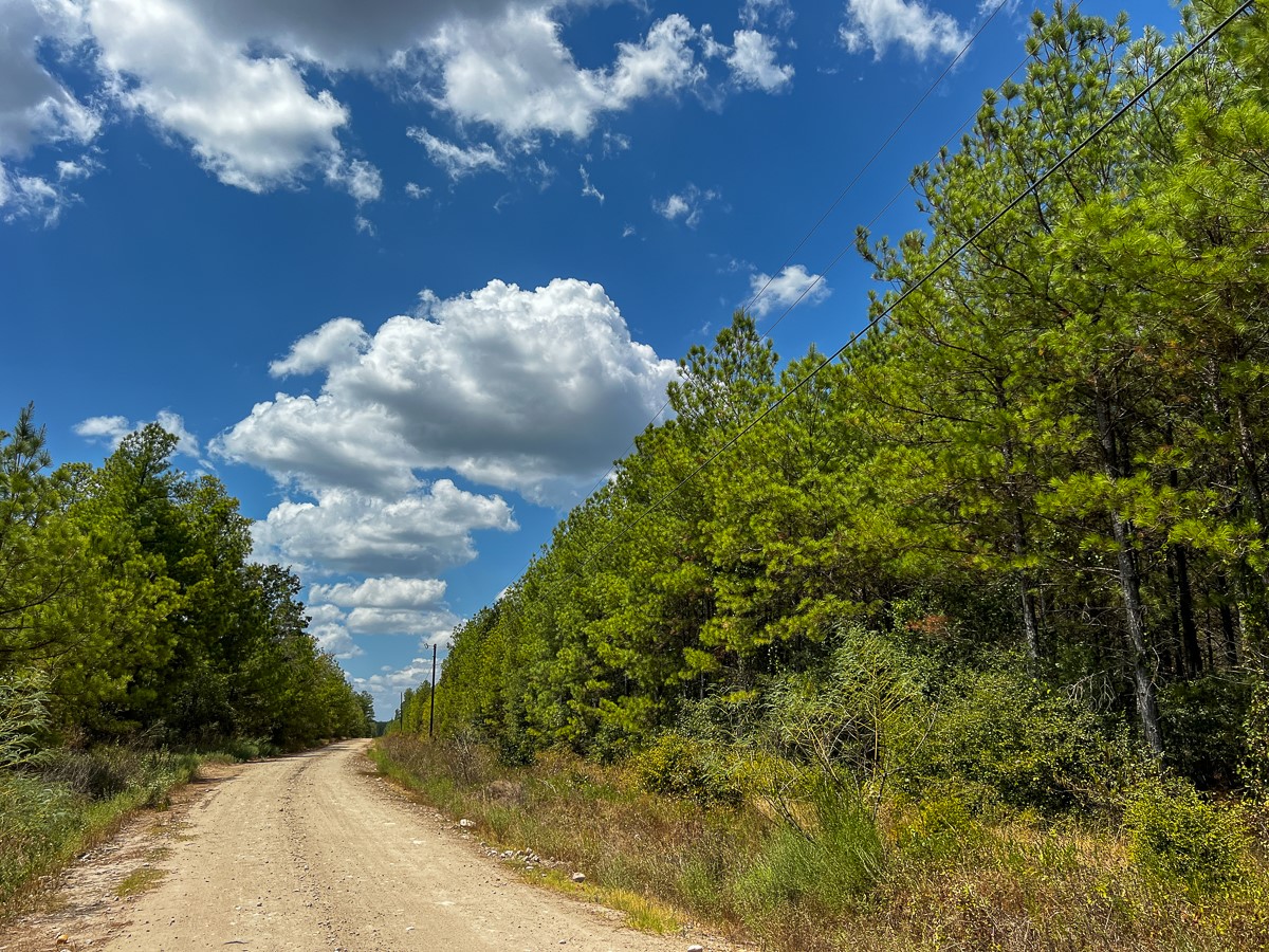 000 Off Lost Indian Camp Road Property Photo 12
