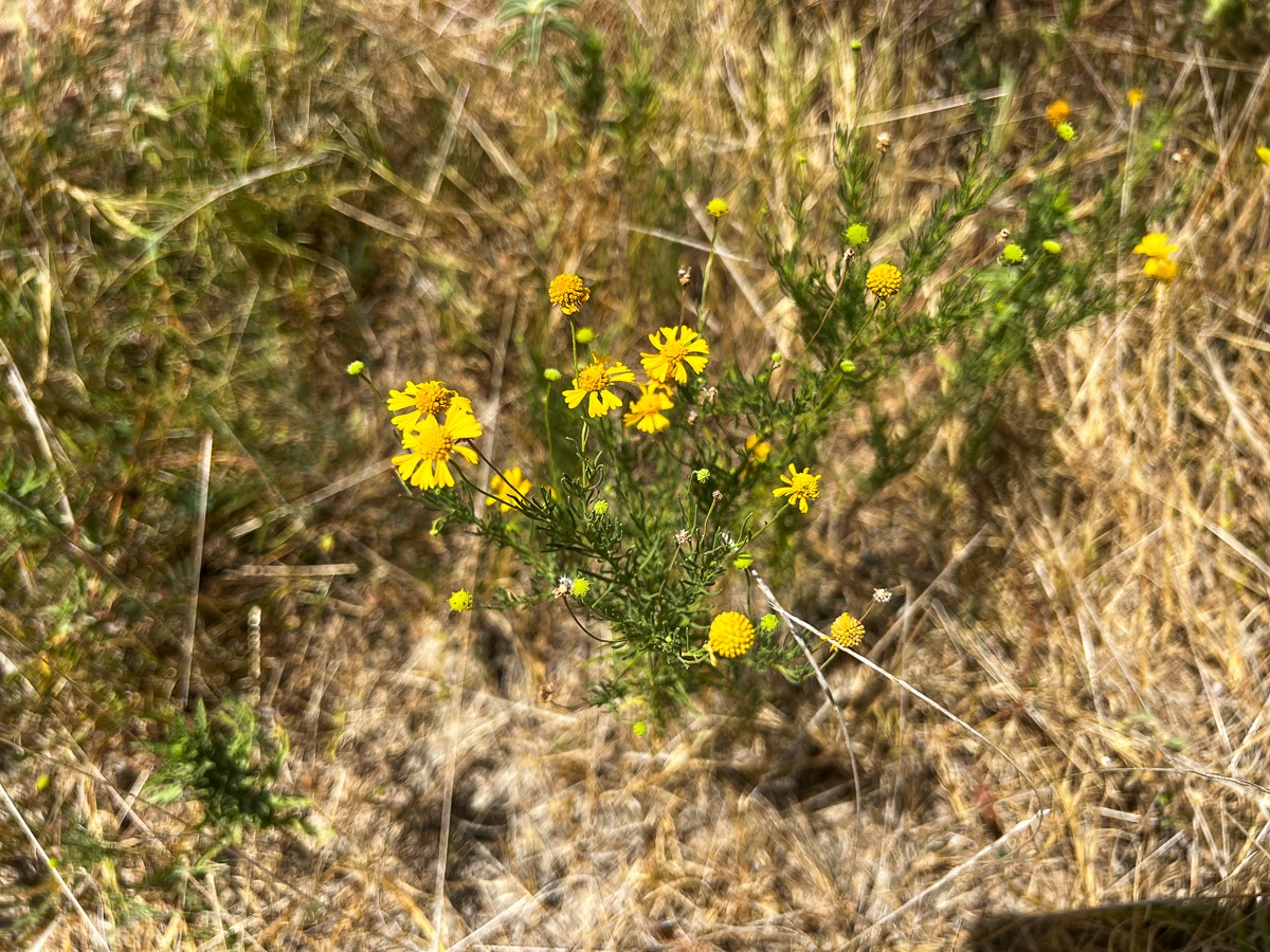 000 Off Lost Indian Camp Road Property Photo 13