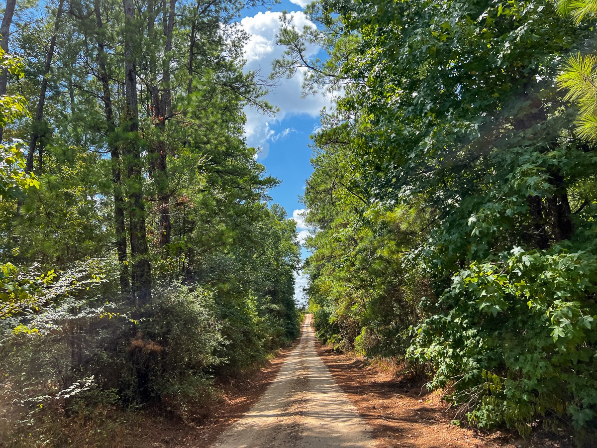000 Off Lost Indian Camp Road Property Photo 17