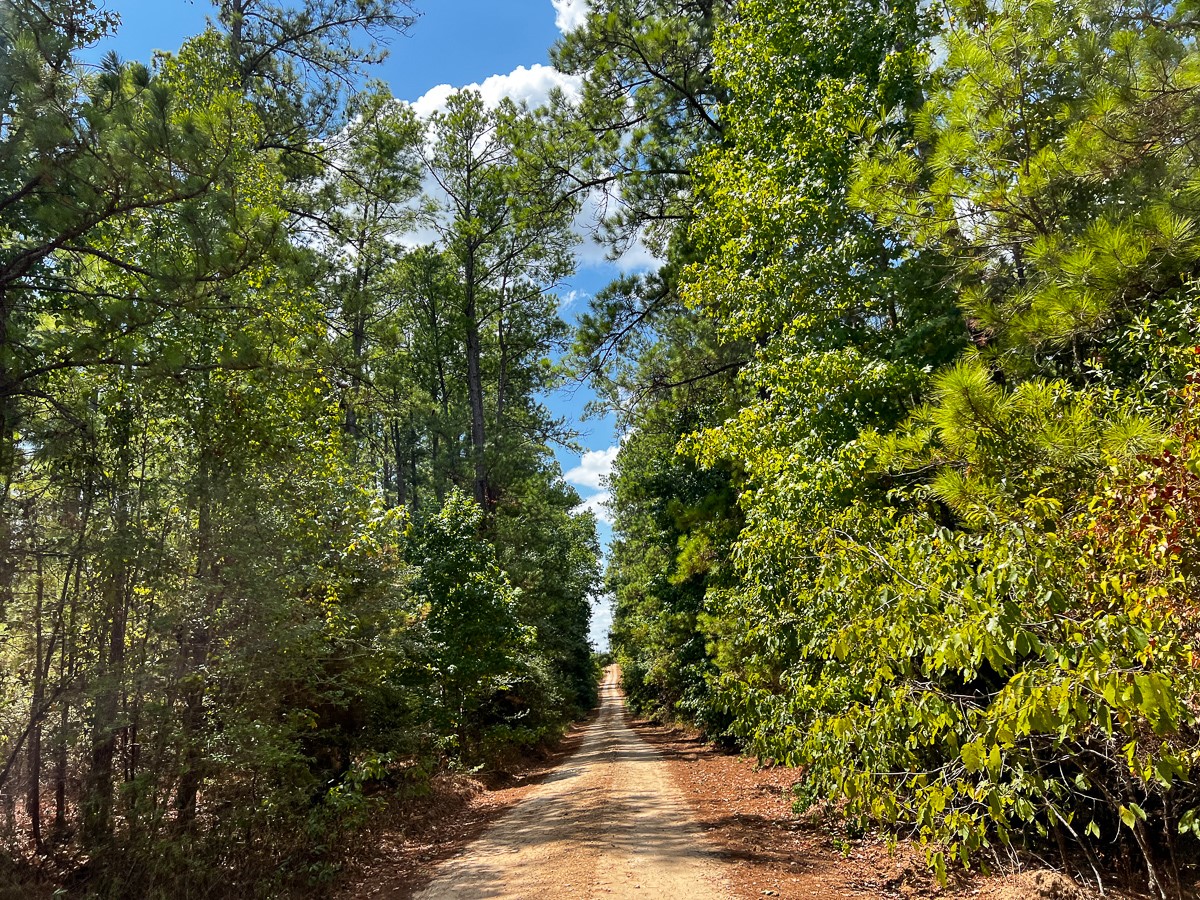 000 Off Lost Indian Camp Road Property Photo 18
