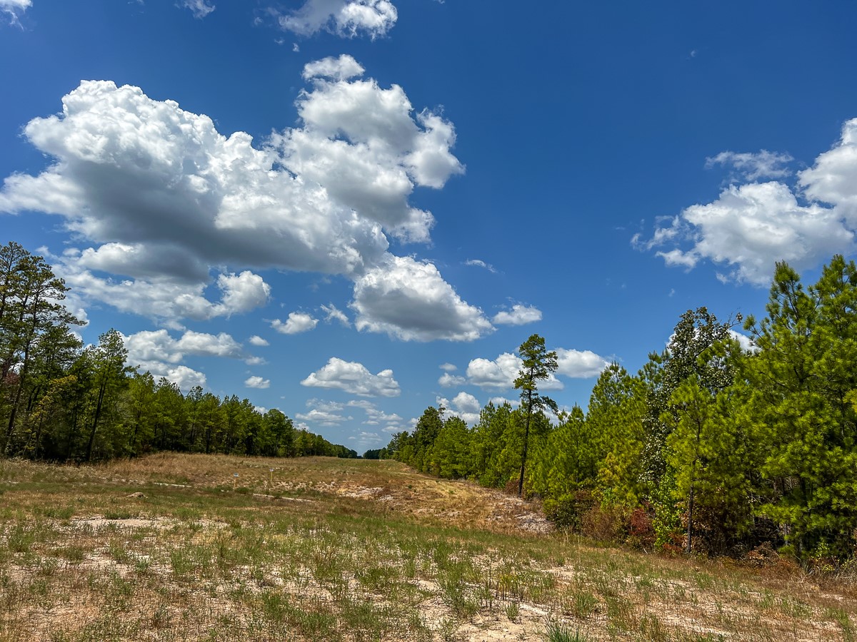 000 Off Lost Indian Camp Road Property Photo 19