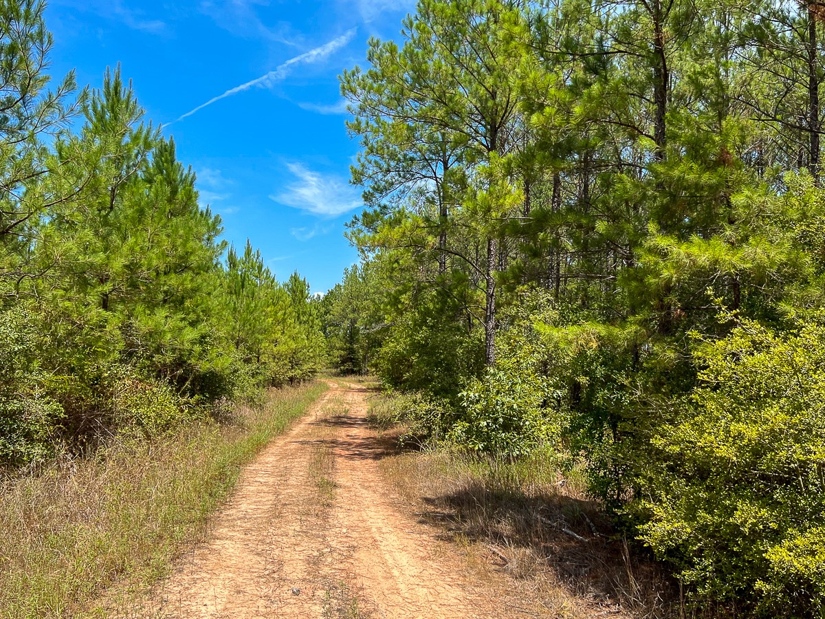 0 Lost Indian Camp Road Property Photo