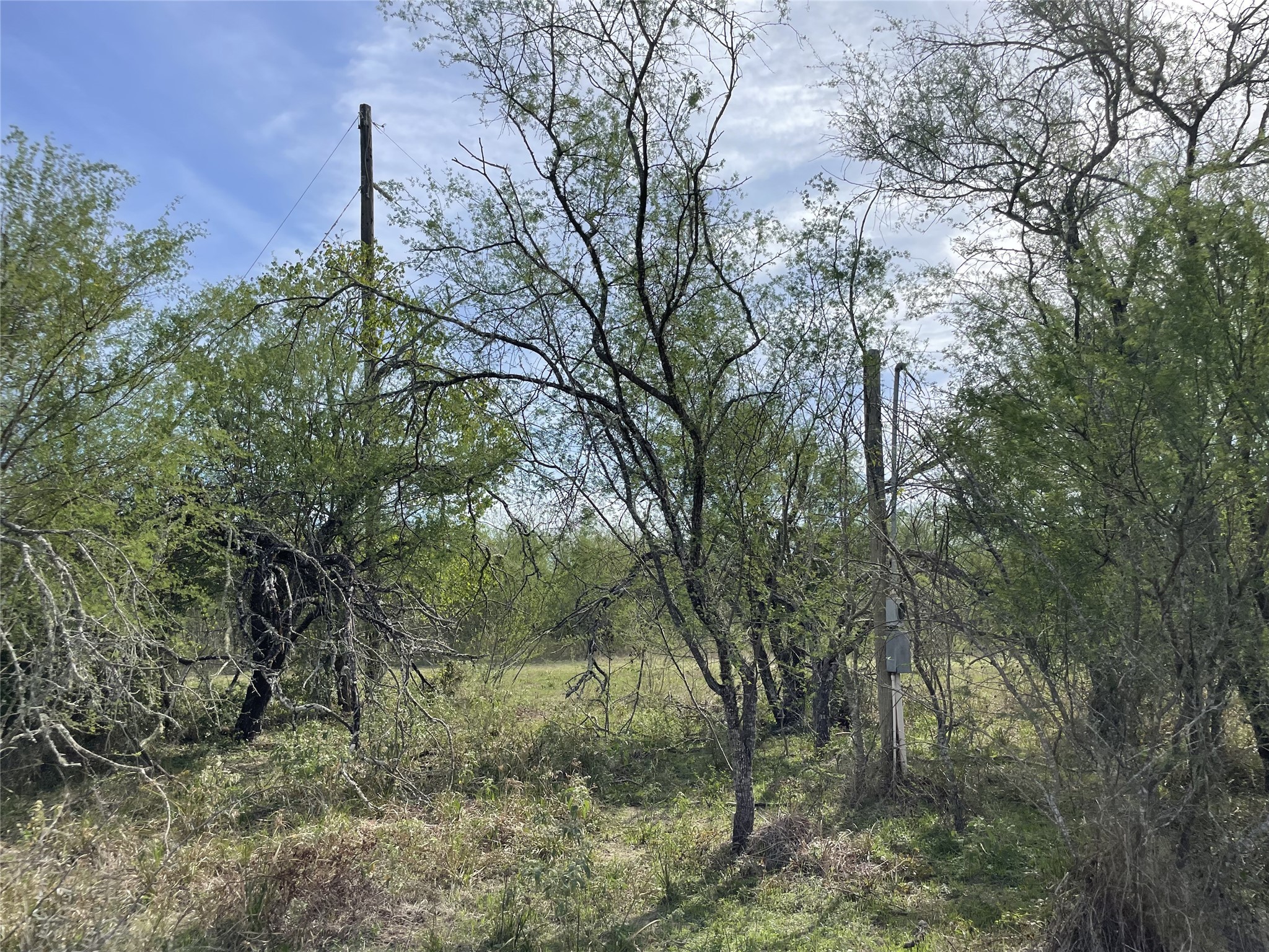 1880 Orange Hill Road Property Photo 8