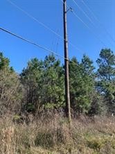 27833 Fm 2090 Road Property Photo 4