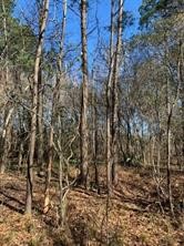 27833 Fm 2090 Road Property Photo 6