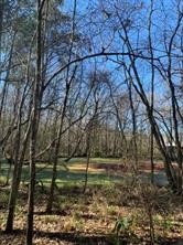 27833 Fm 2090 Road Property Photo 8