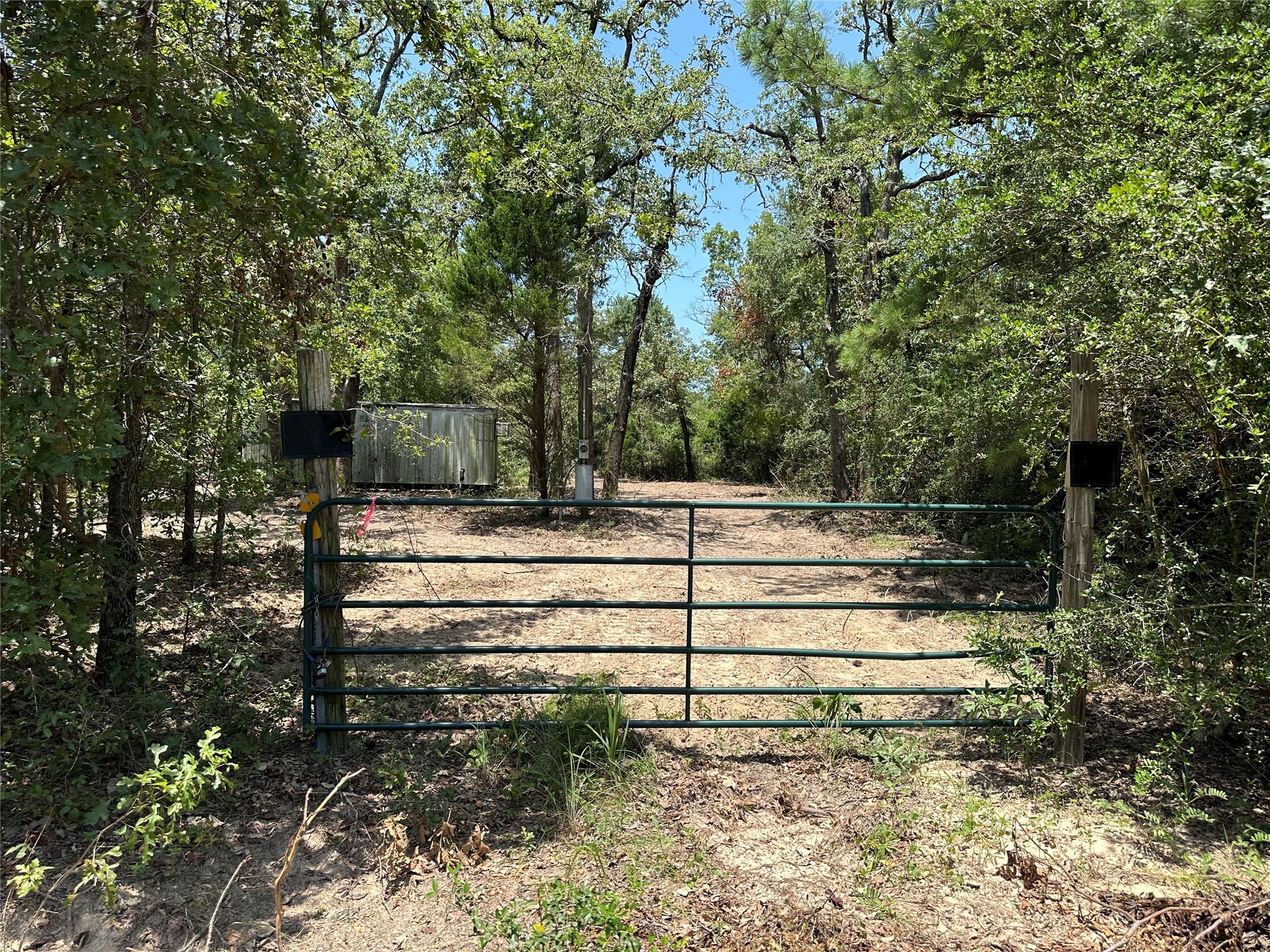 Tbd County Road 300 Property Photo