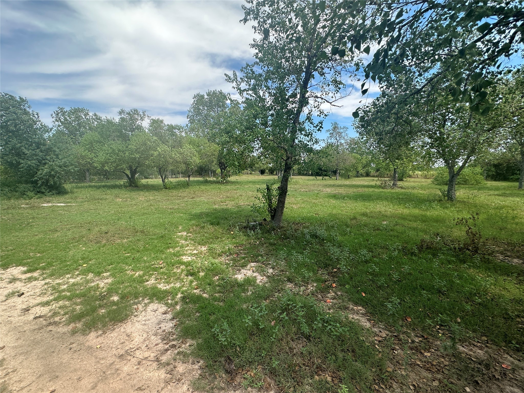 20314 Great Lake Street Property Photo 4