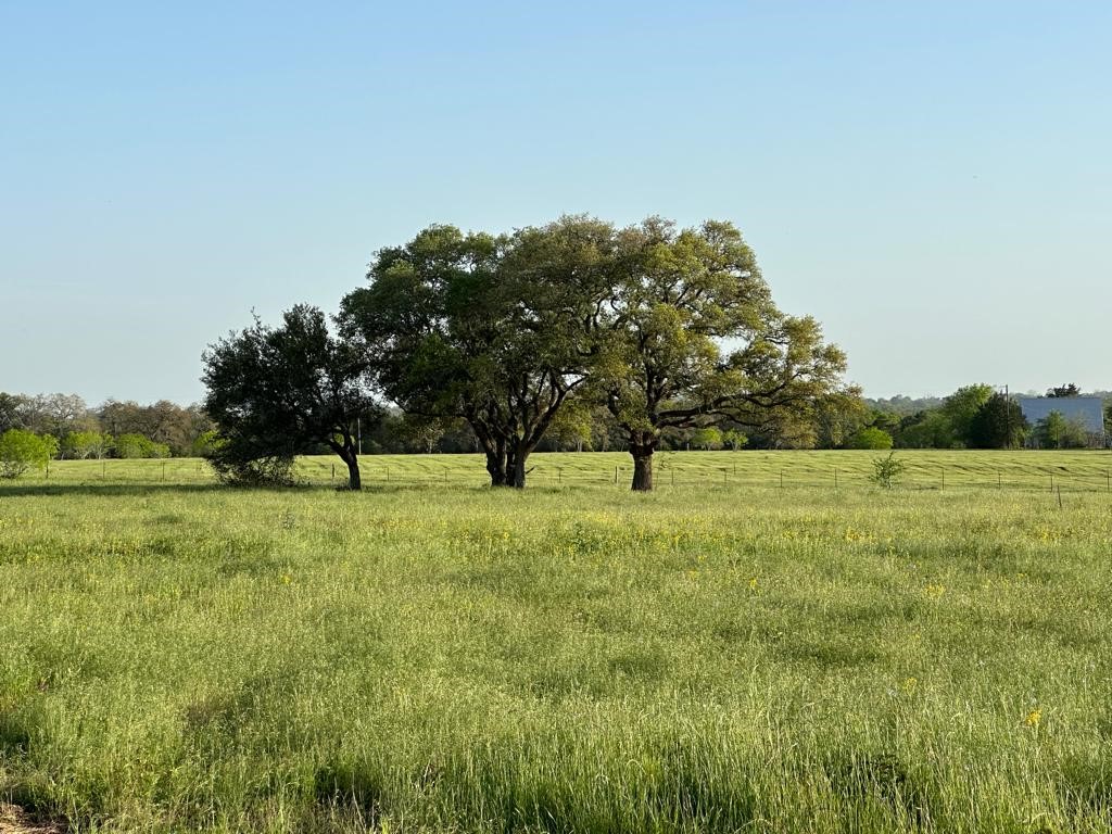Tbd - Lot 3b County Road 222 Property Photo 1