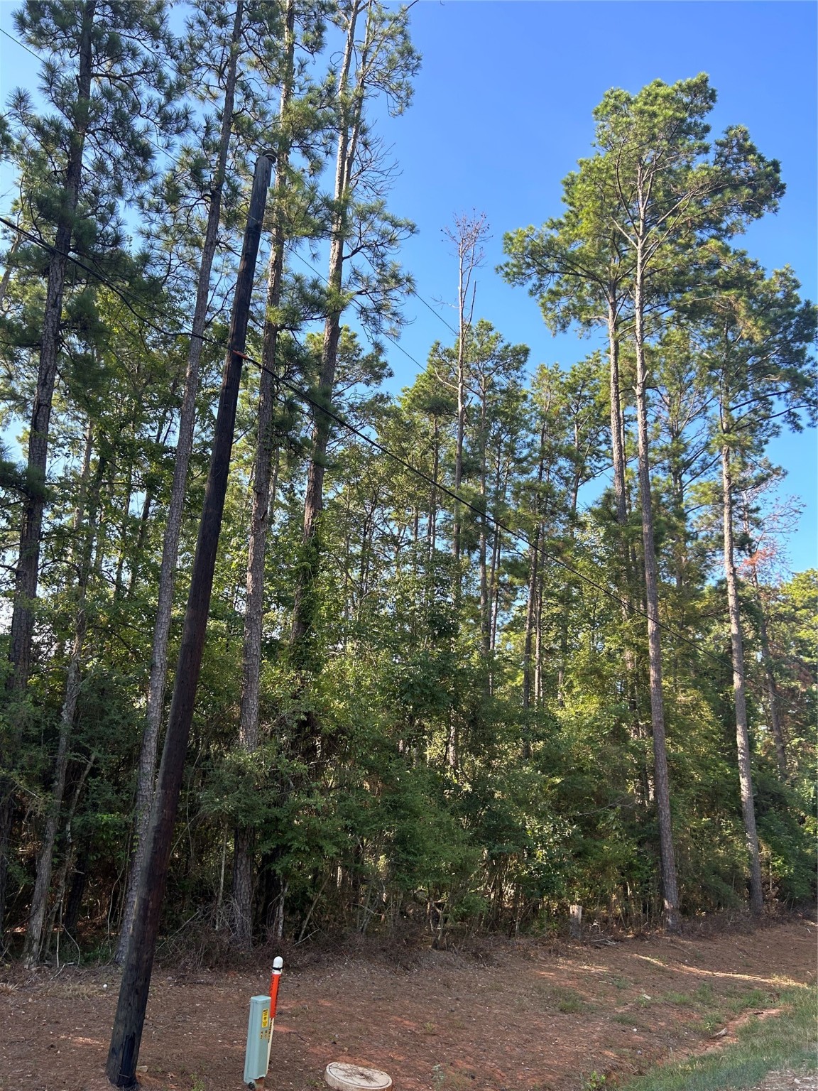 434445 Rob Property Photo 1