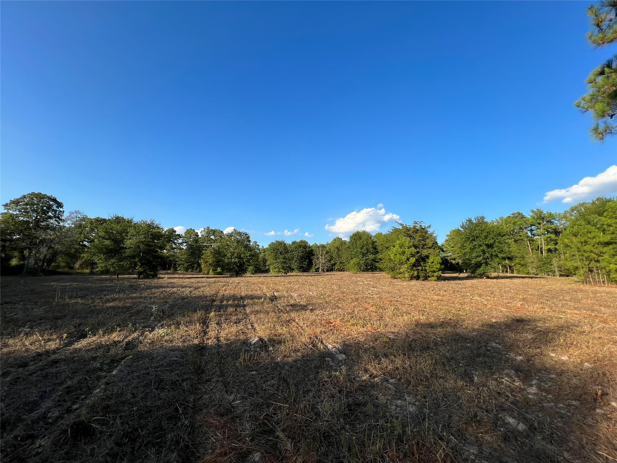 4604 Highway 105 E Property Photo 3