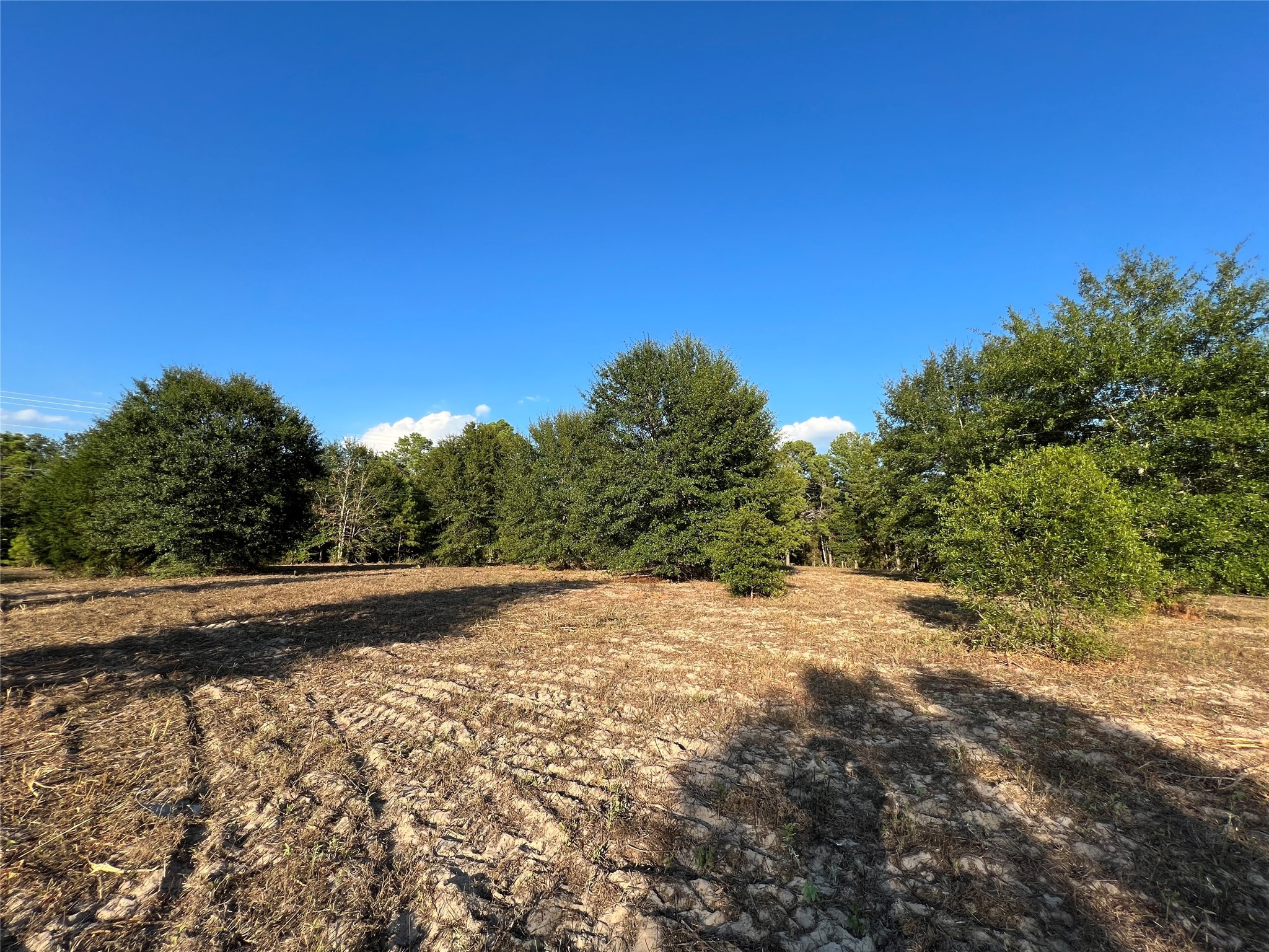 4604 Highway 105 E Property Photo 4