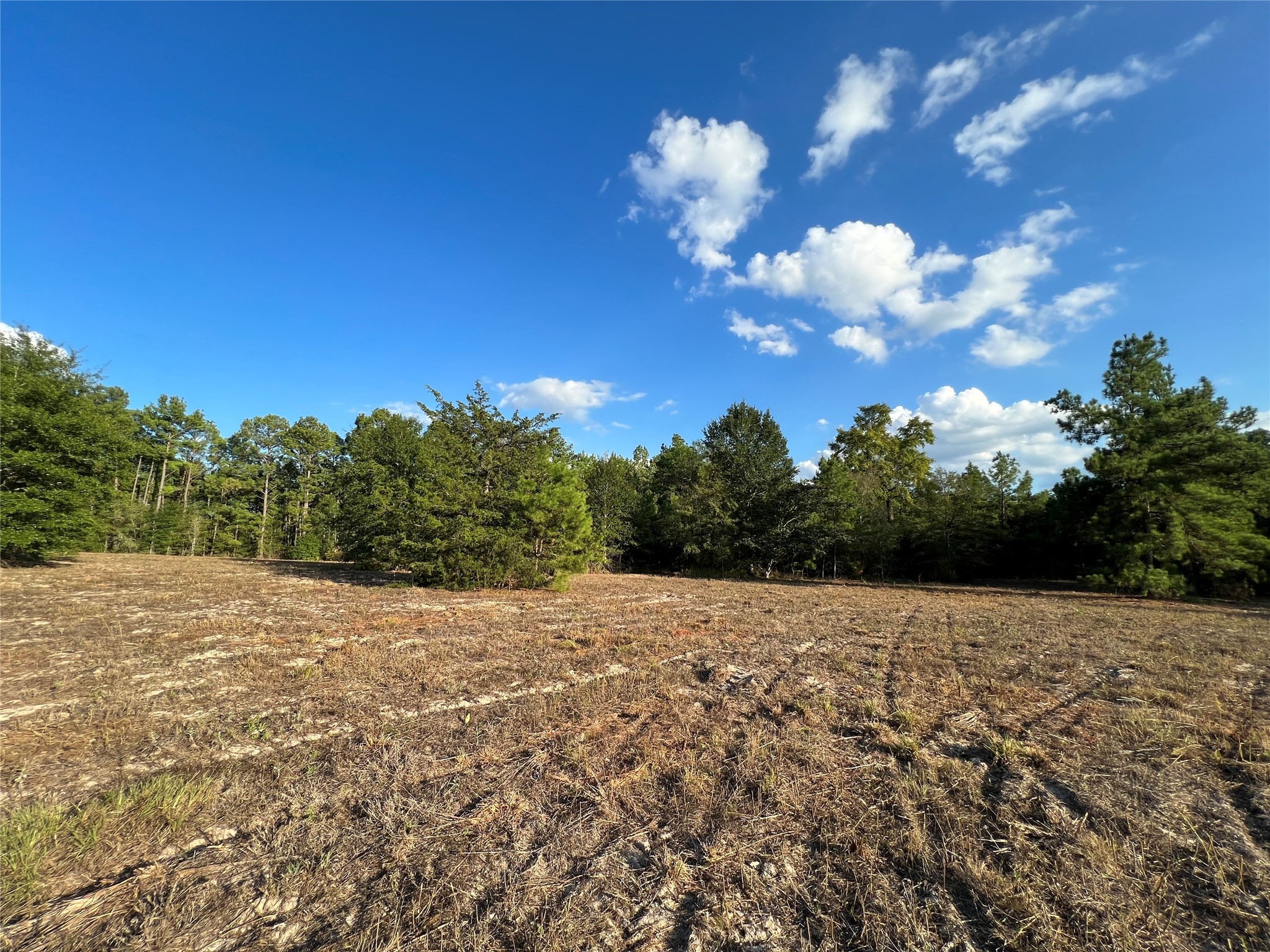 4604 Highway 105 E Property Photo 14