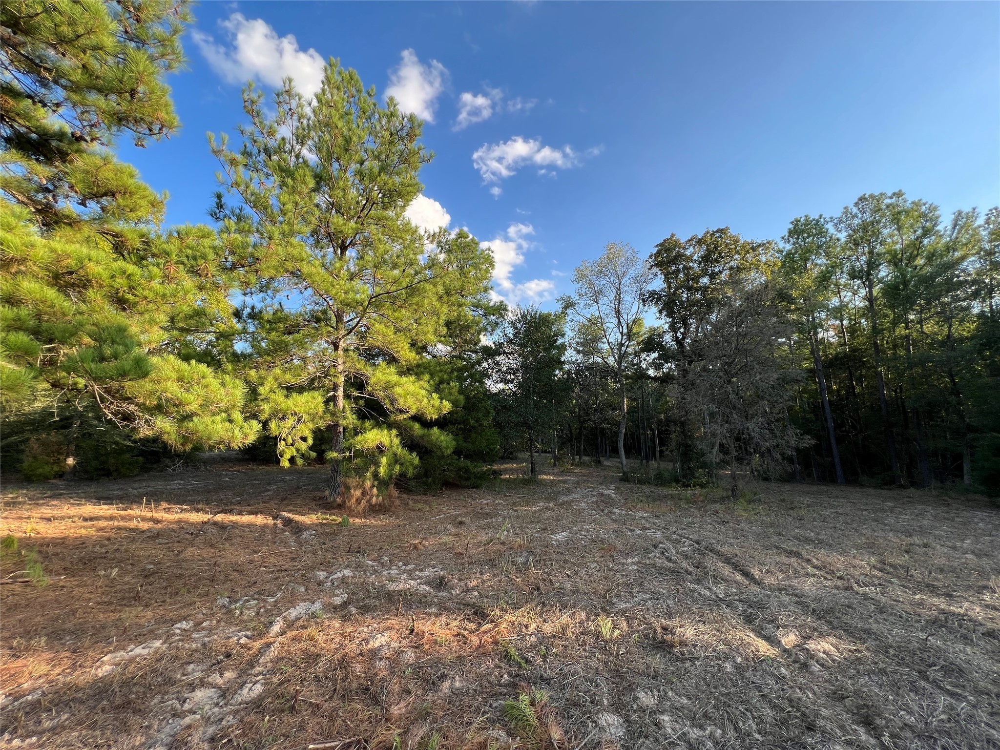 4604 Highway 105 E Property Photo 15