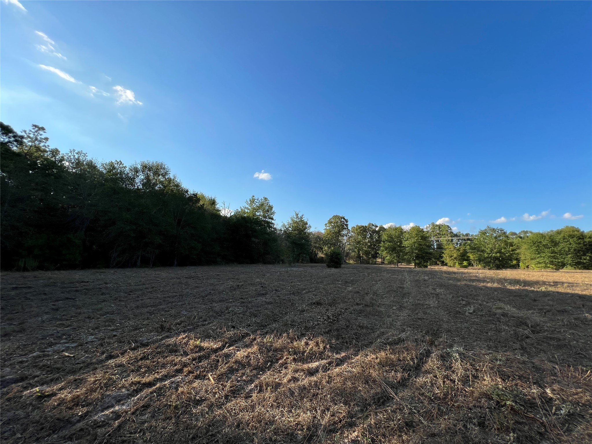 4604 Highway 105 E Property Photo 16